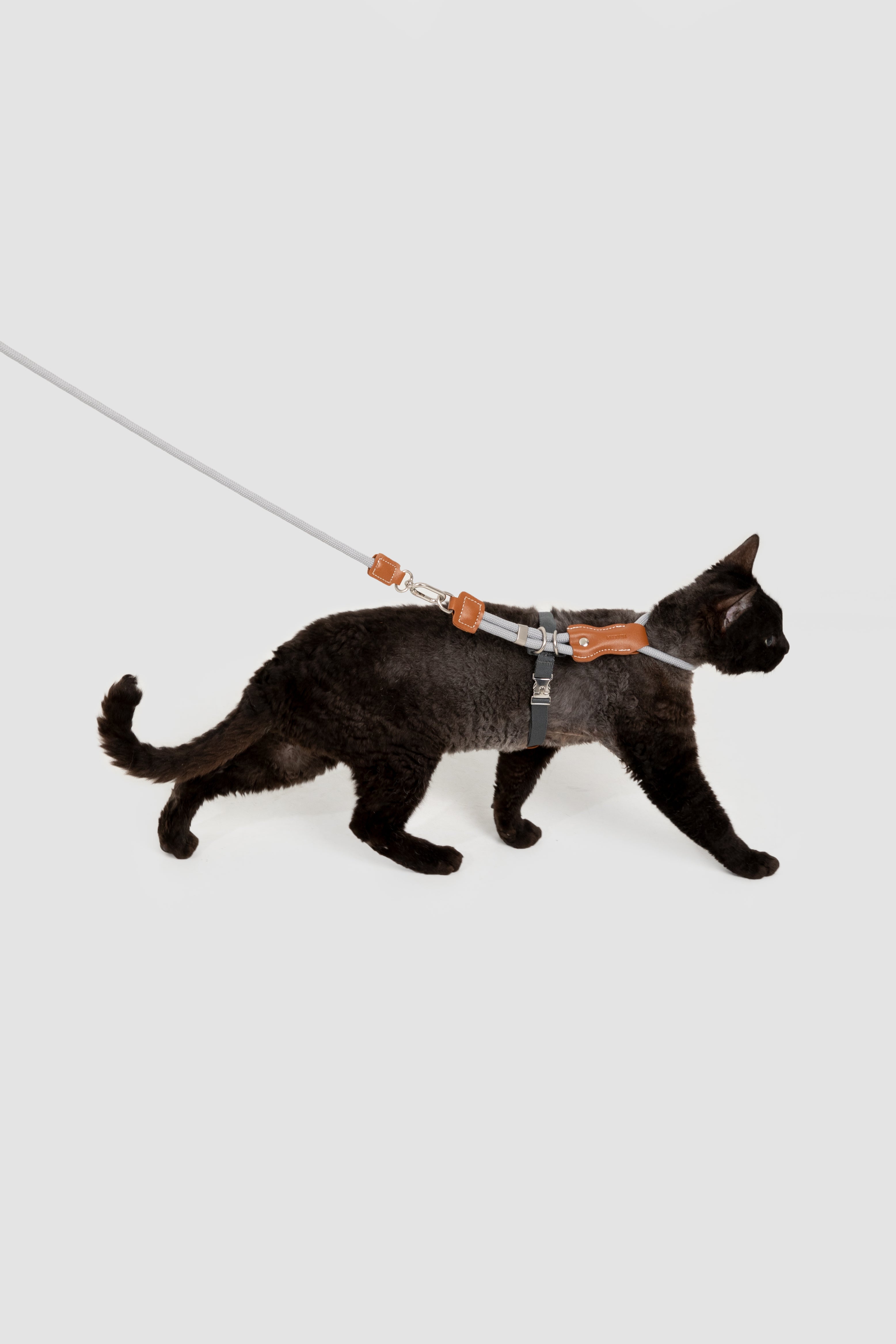 Leather Round Rope Cat Harness Set -Sliver Grey