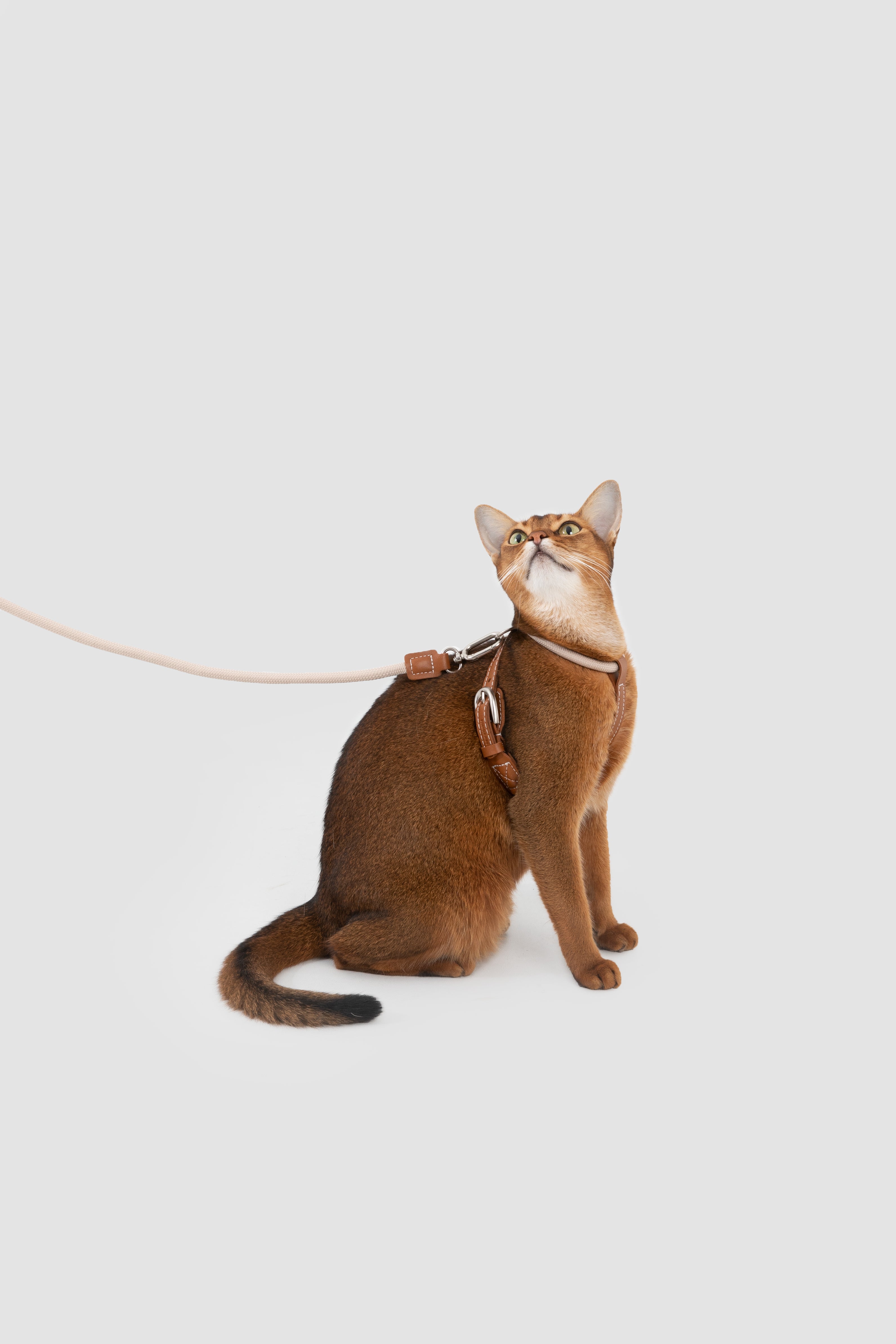 Freedom Leather Rope Cat Harness and Leash Set - Oat Milk