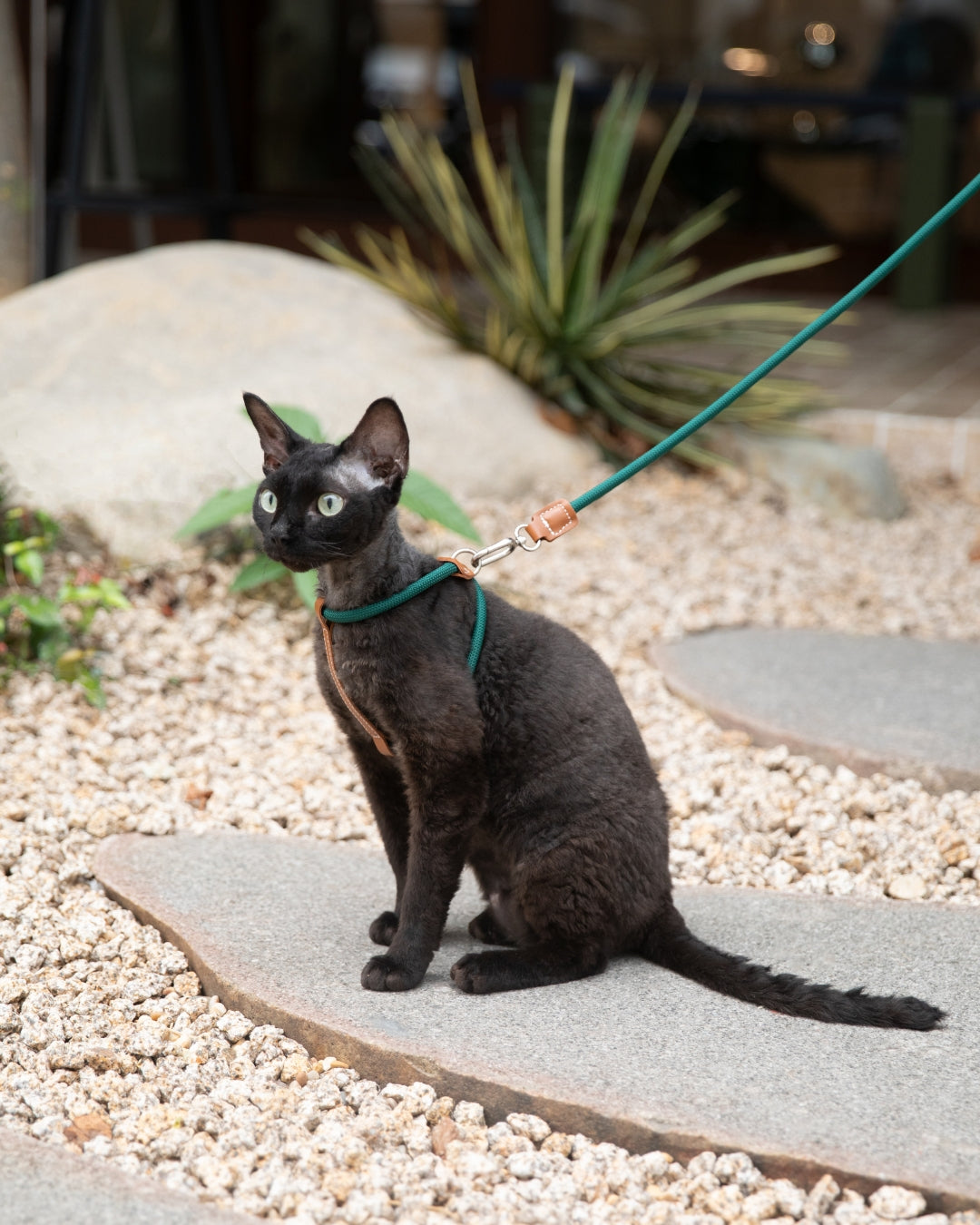 Freedom Leather Rope Cat Harness and Leash Set - Oat Milk
