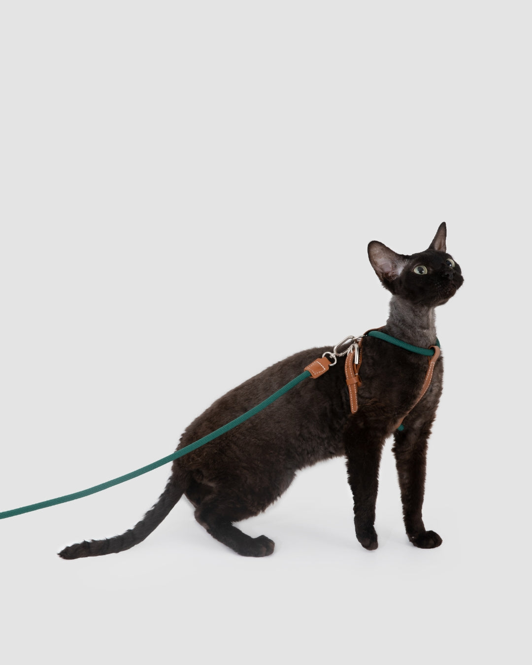 Freedom Leather Rope Cat Harness and Leash Set - Oat Milk