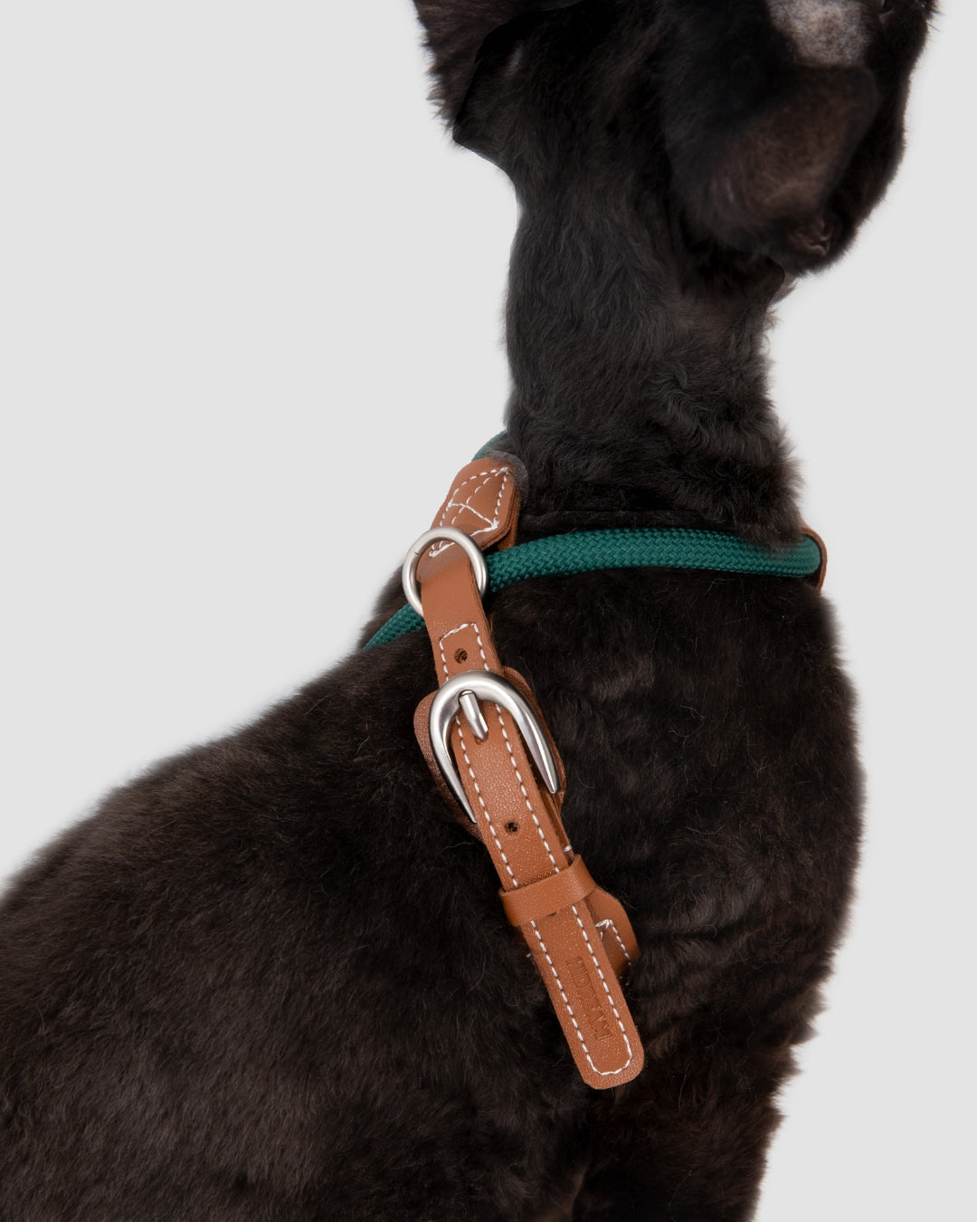 Freedom Leather Rope Cat Harness and Leash Set - Oat Milk