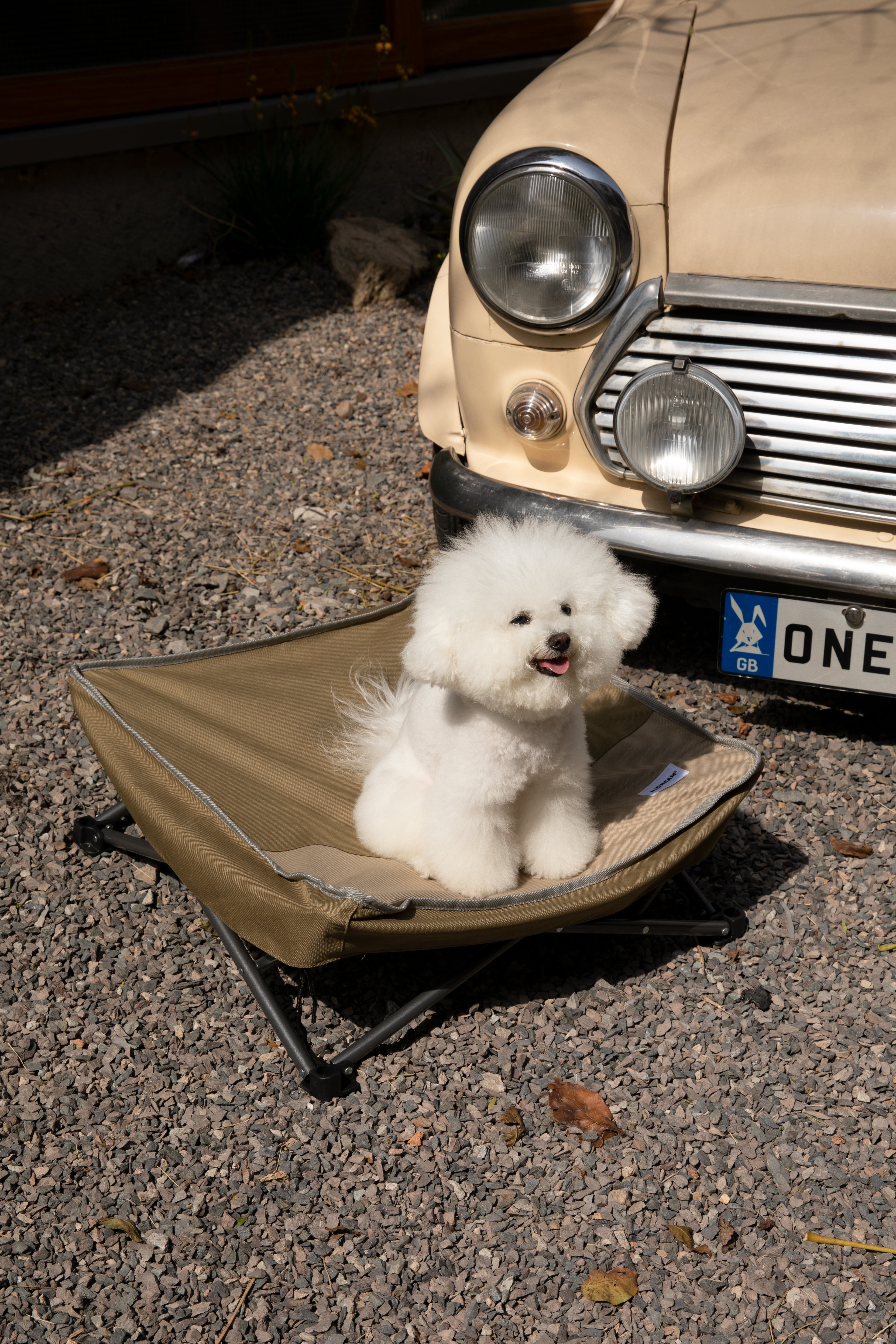 Moisture-Resistant Foldable Pet Bed