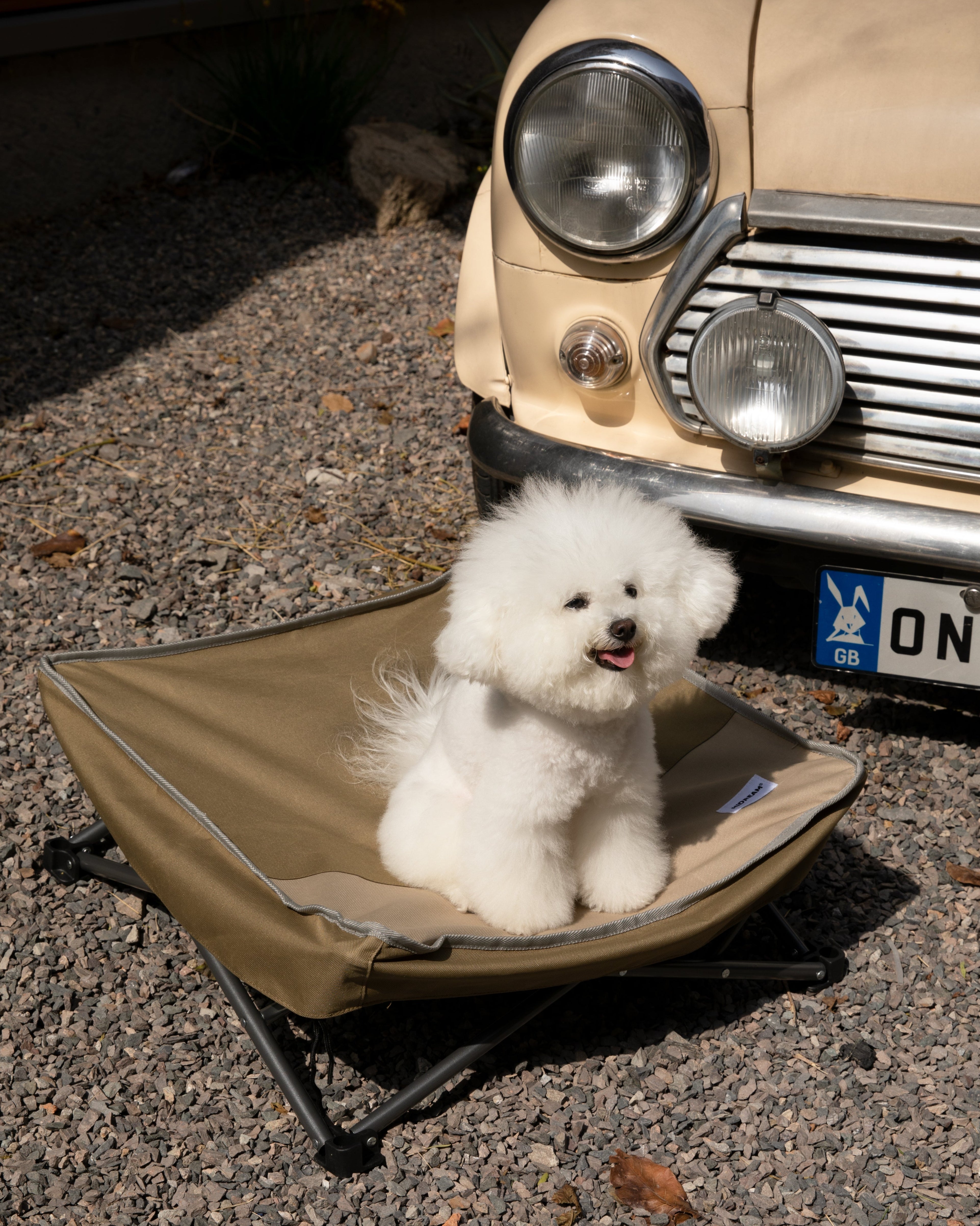 Moisture-Resistant Foldable Pet Bed