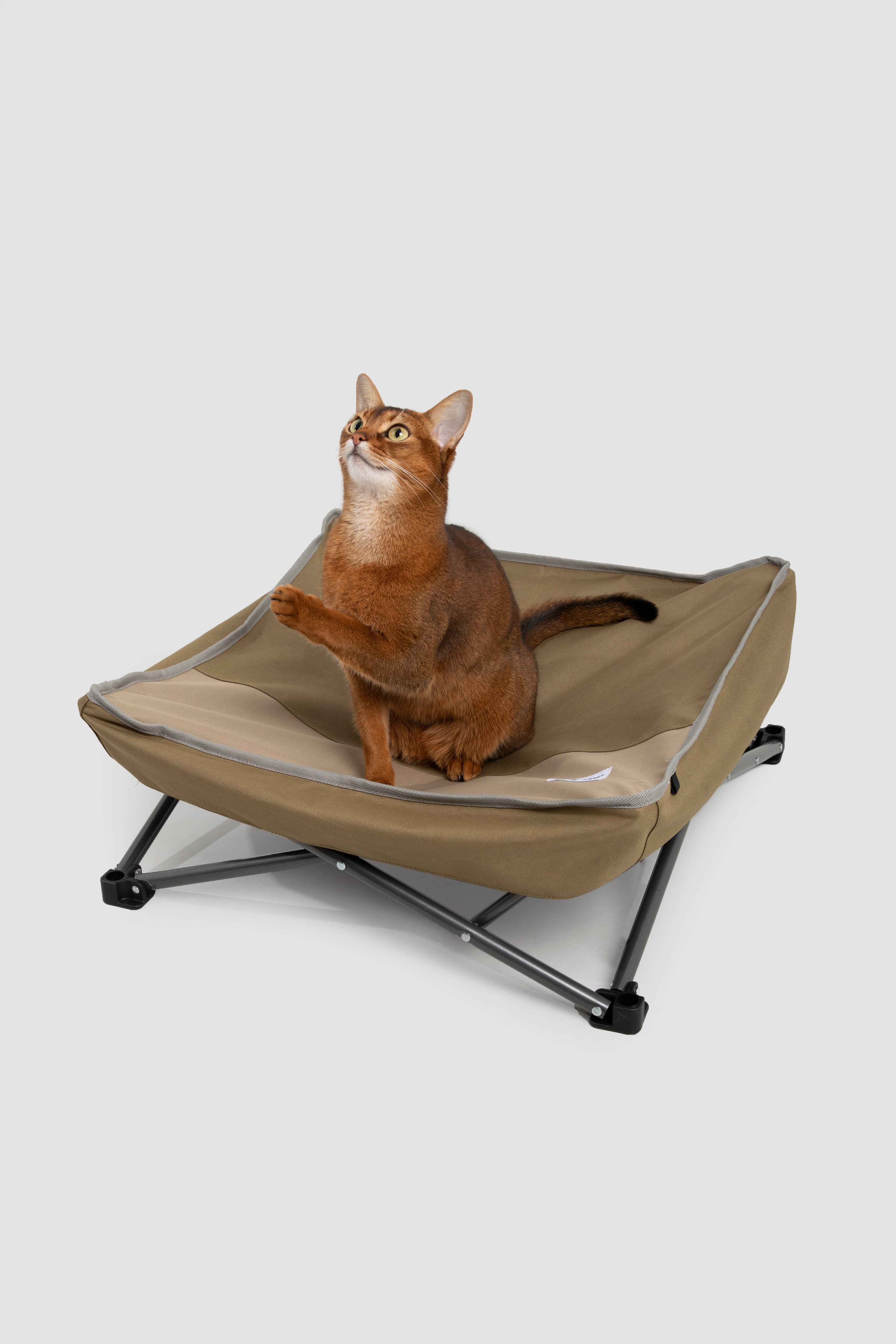 Moisture-Resistant Foldable Pet Bed