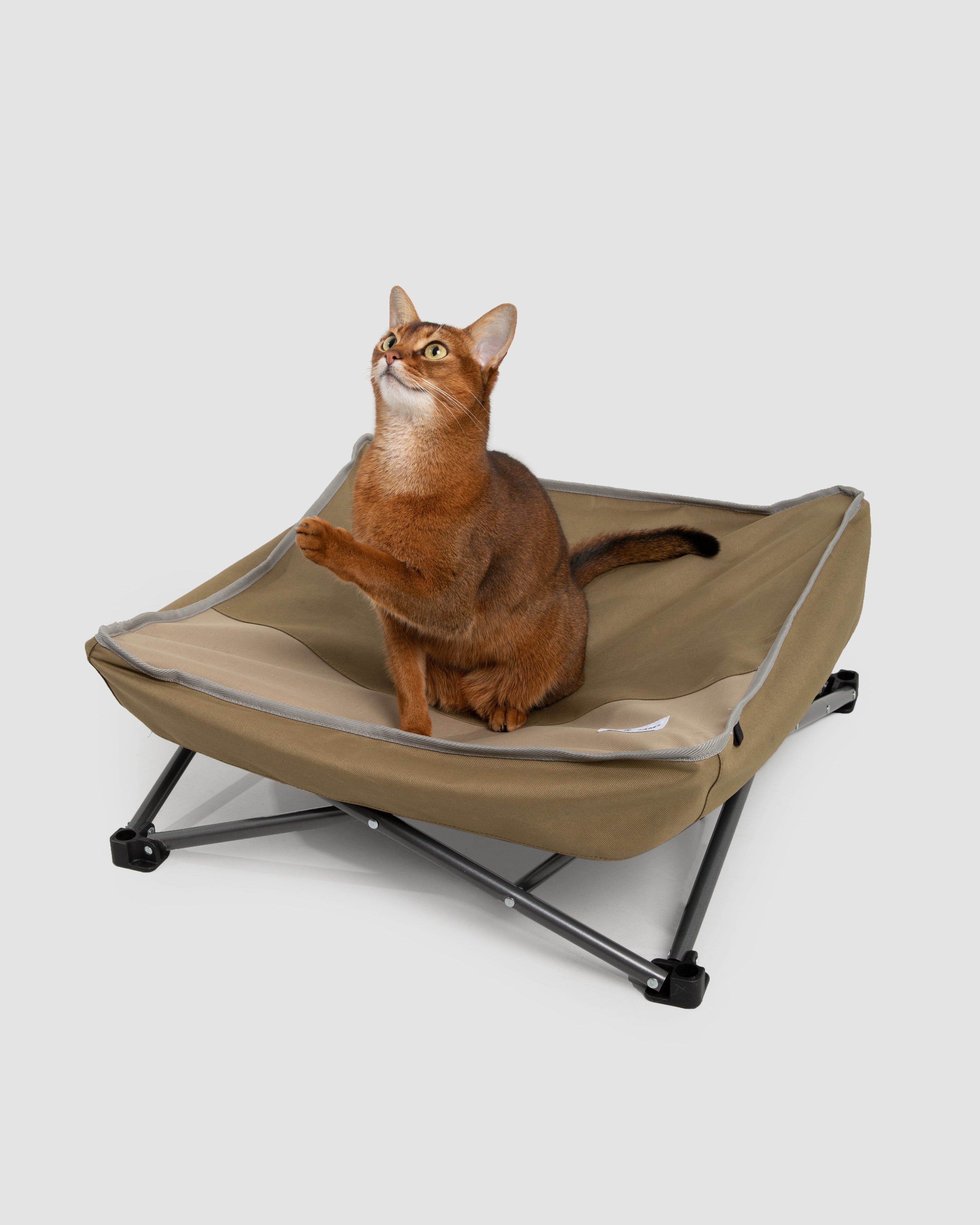 Moisture-Resistant Foldable Pet Bed