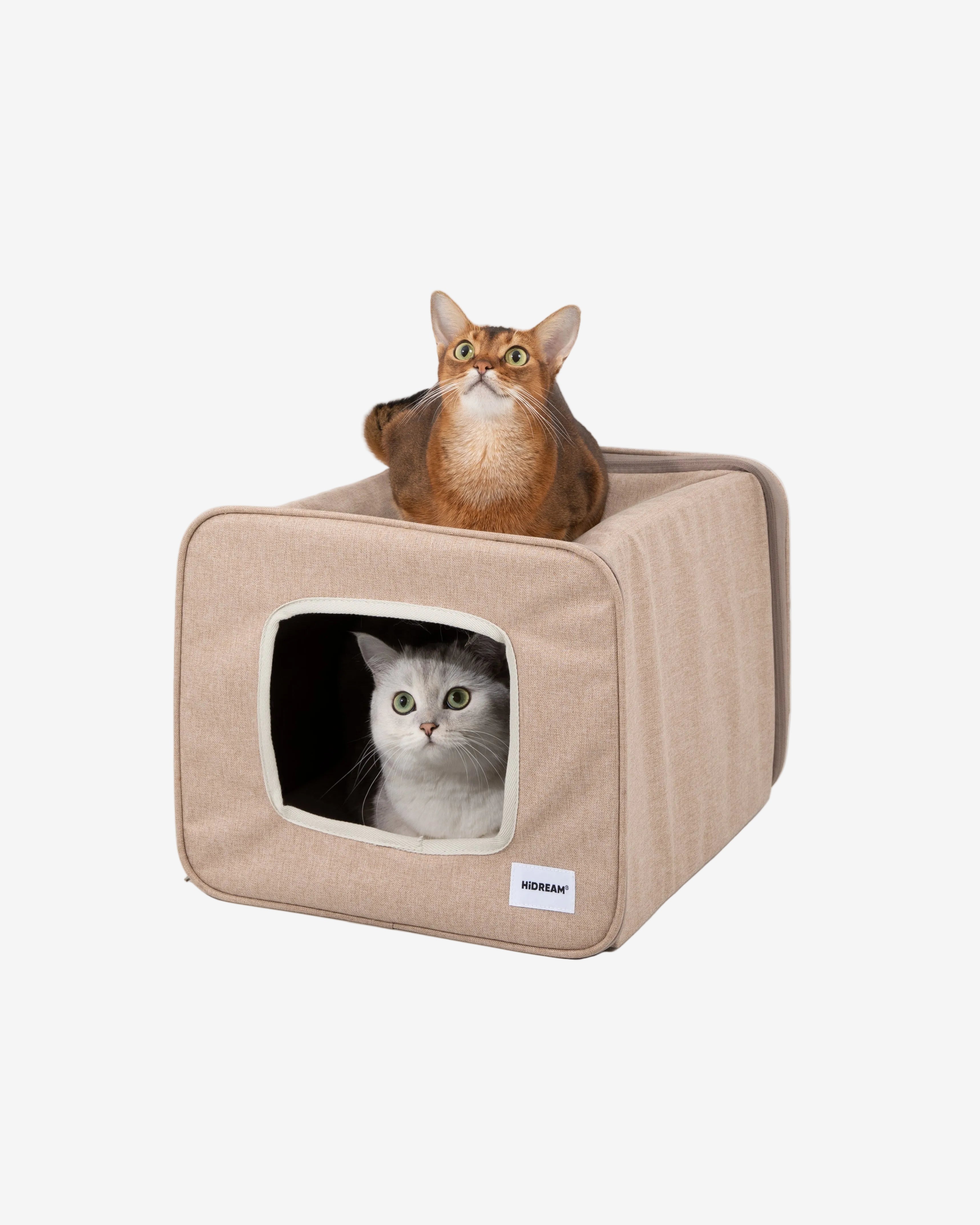 Two cats inside a beige pet cube on a light gray background
