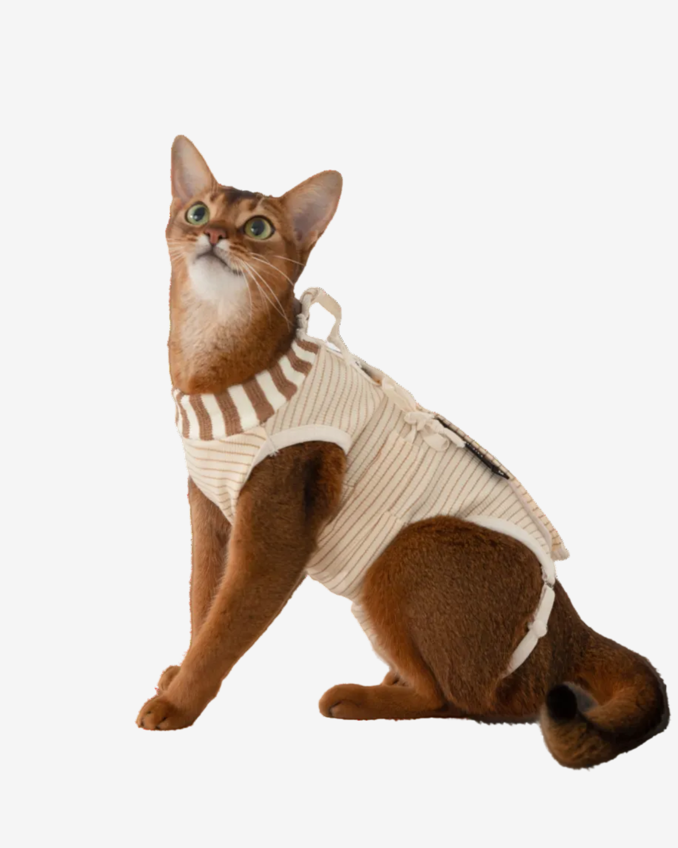 Anti-Escape Recovery Suit