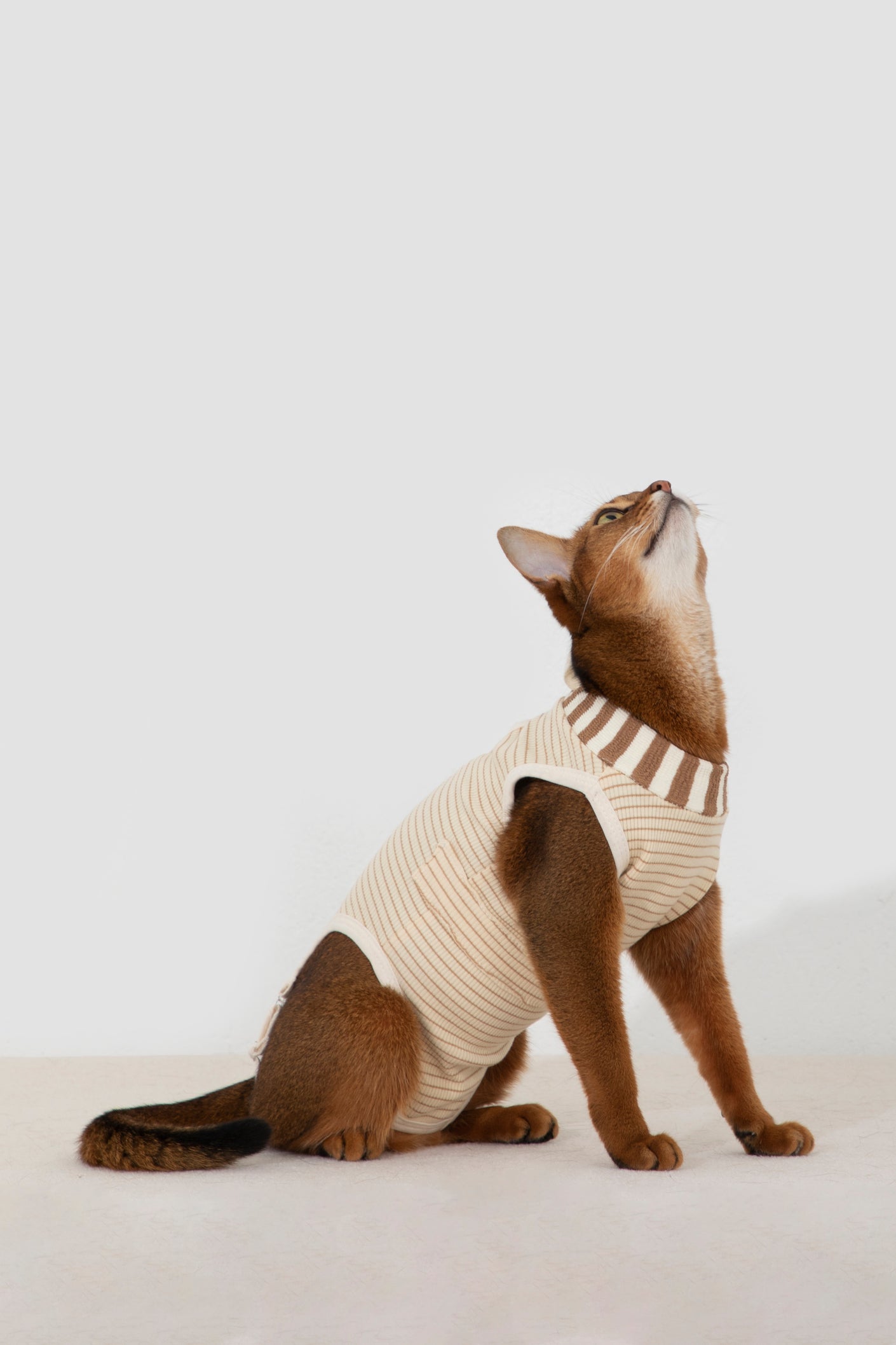 Anti-Escape Recovery Suit