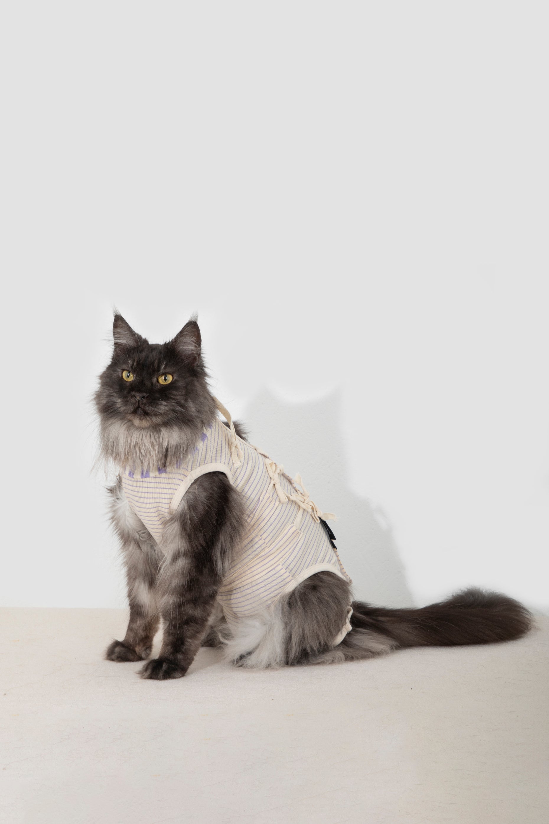 Anti-Escape Recovery Suit