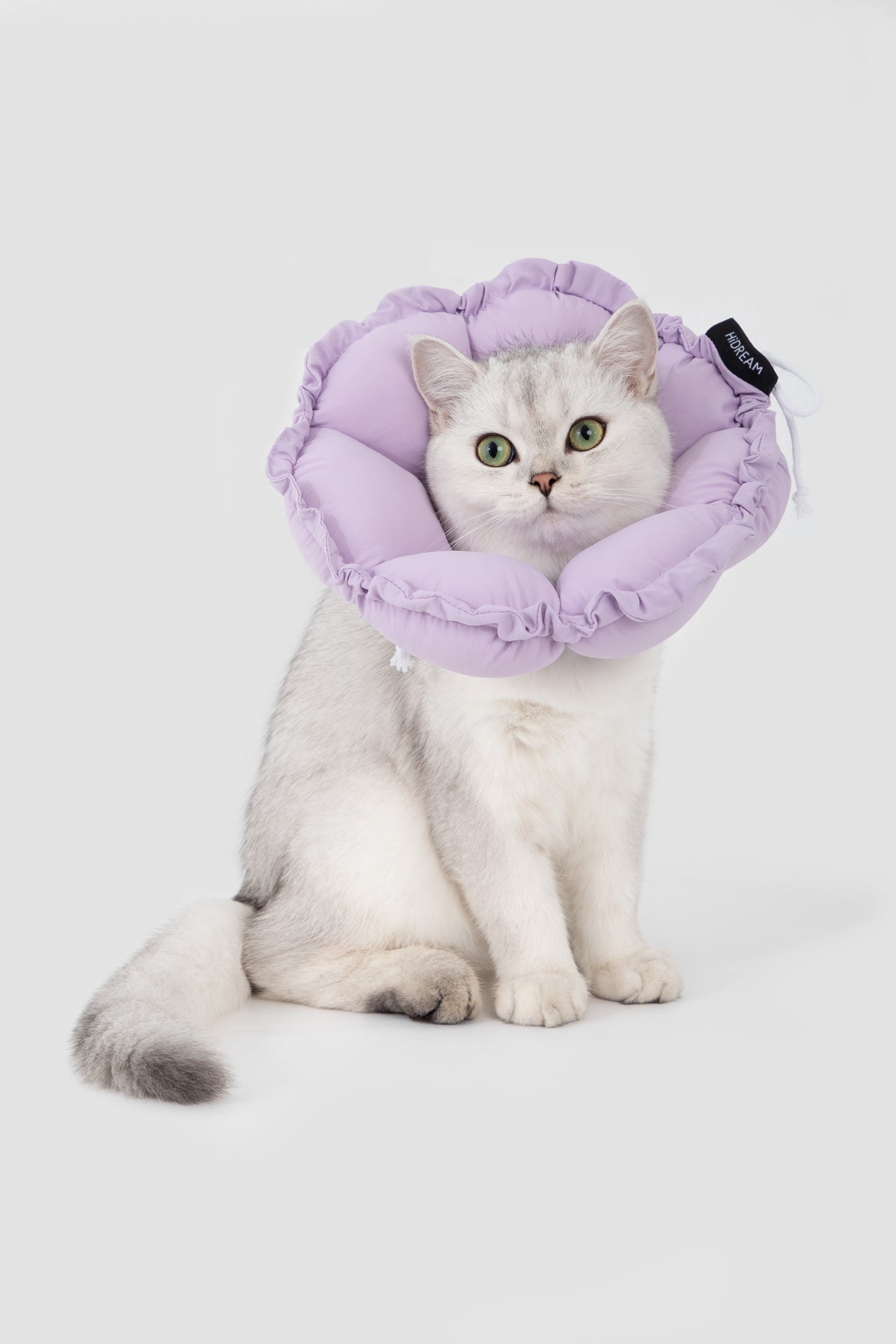 Floral Pet Recovery Collar Plus - Violet