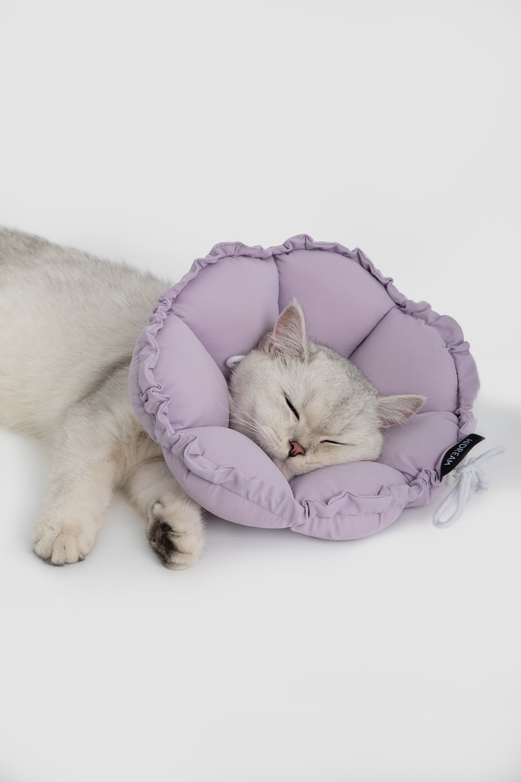 Floral Pet Recovery Collar Plus