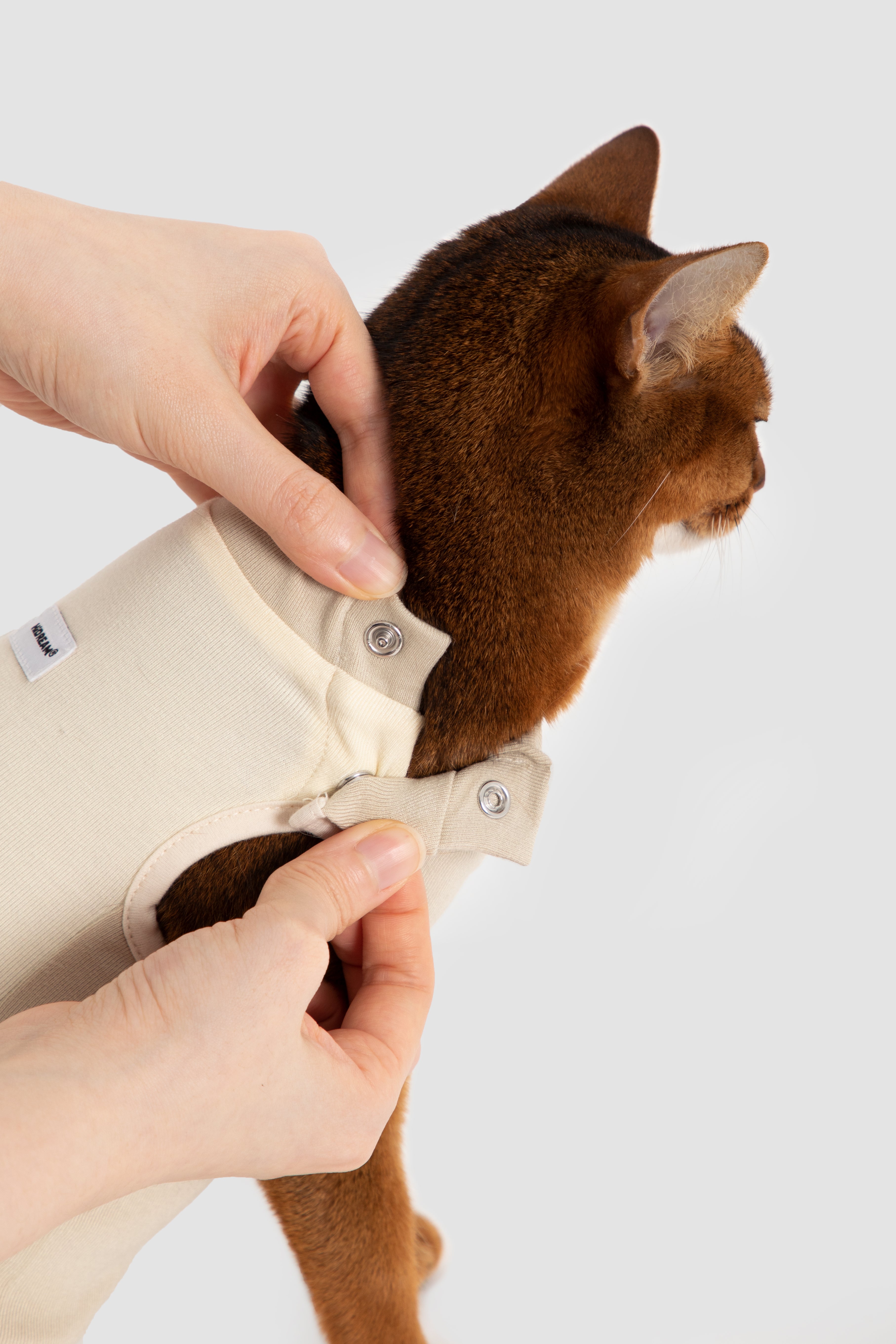 Colorblock Cat Recovery Suit