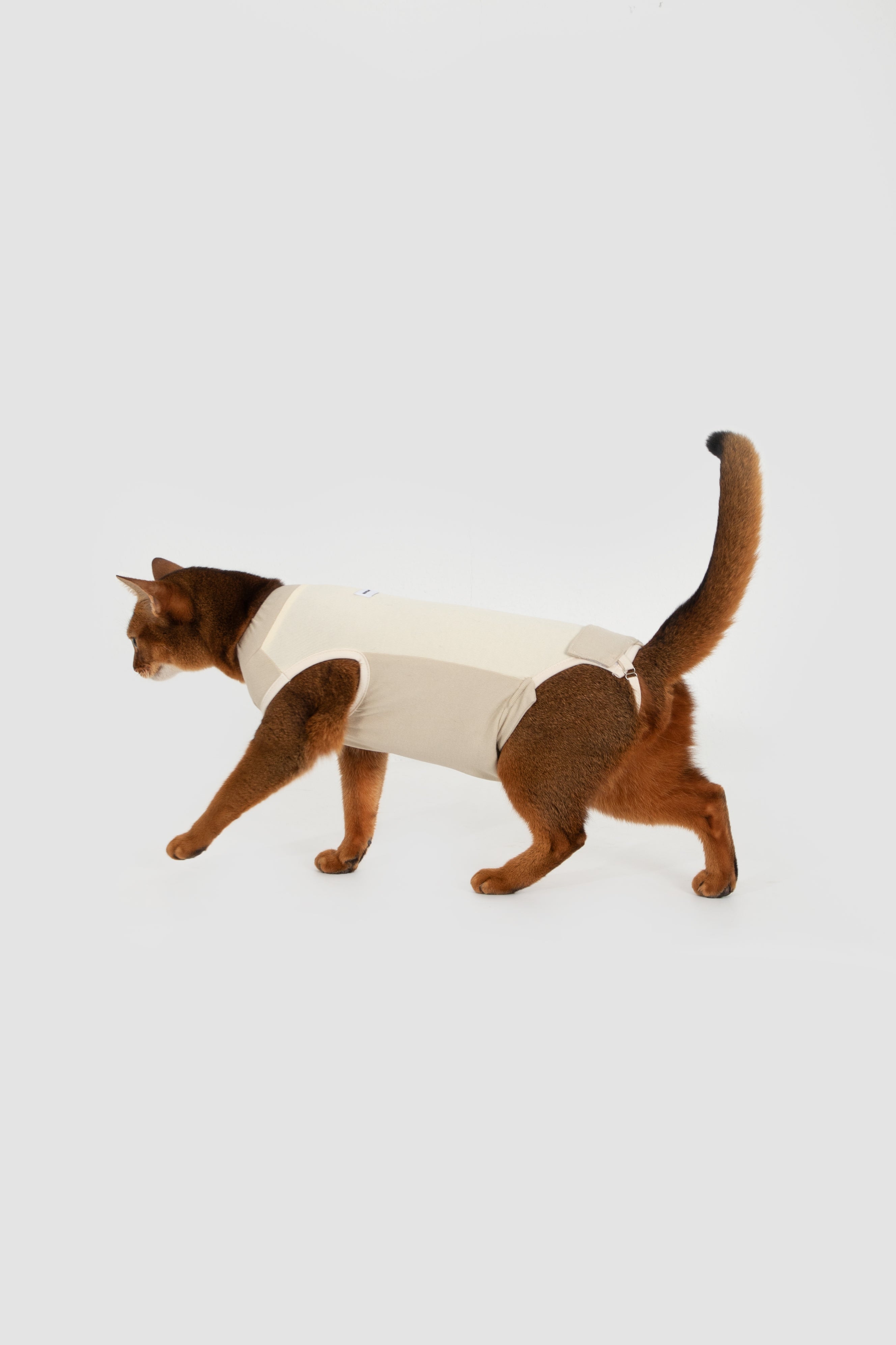 Colorblock Cat Recovery Suit