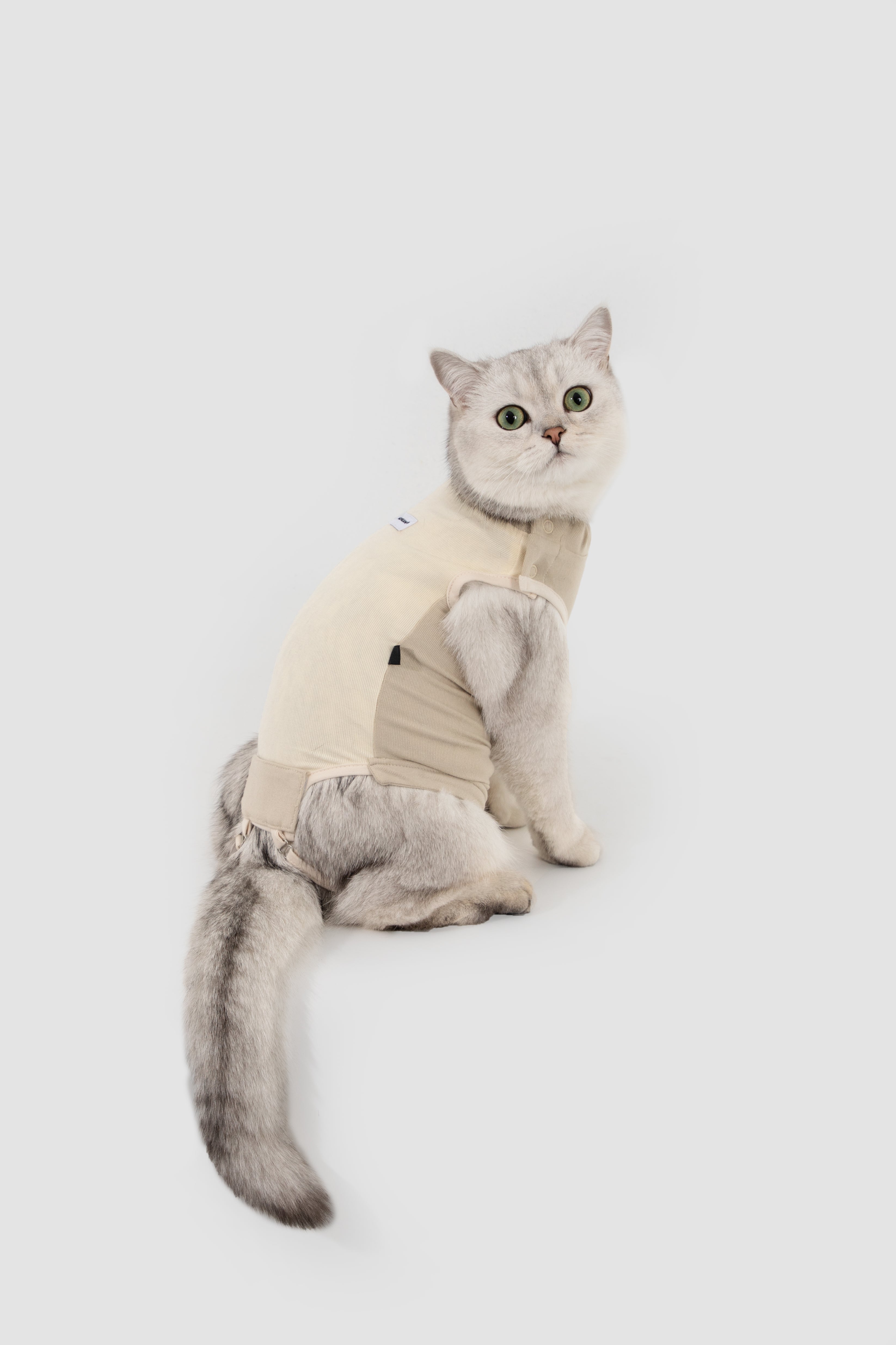 Colorblock Cat Recovery Suit