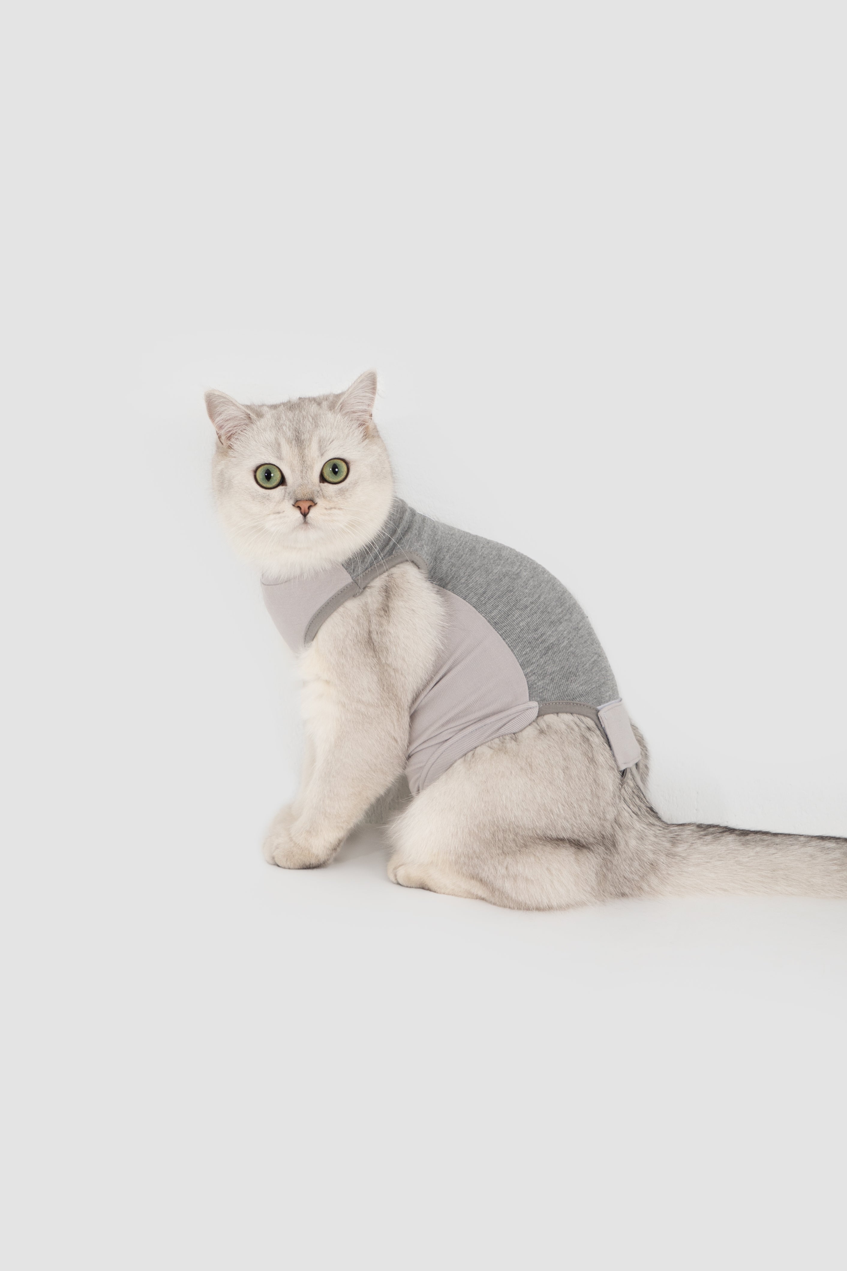 Colorblock Cat Recovery Suit
