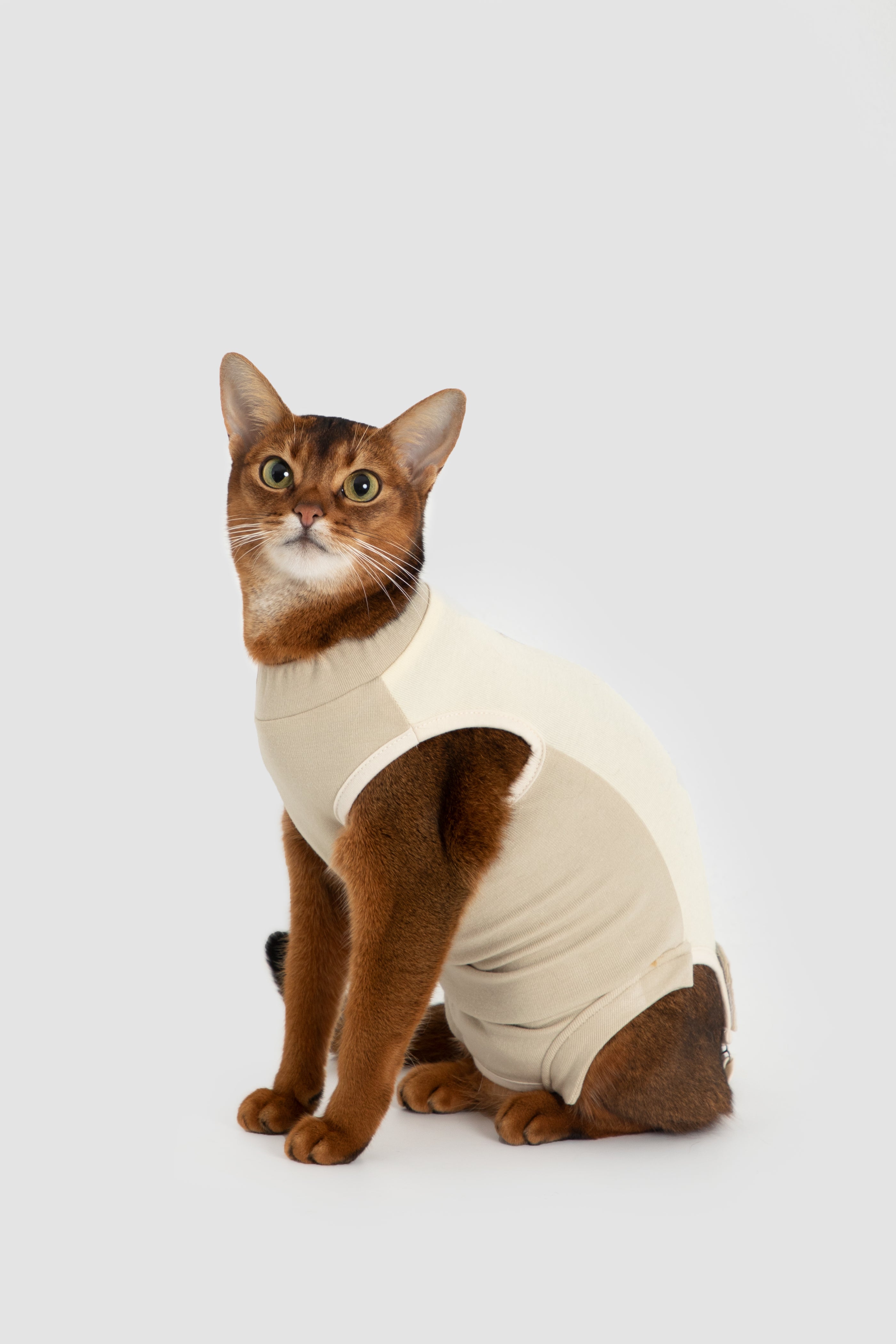 Colorblock Cat Recovery Suit