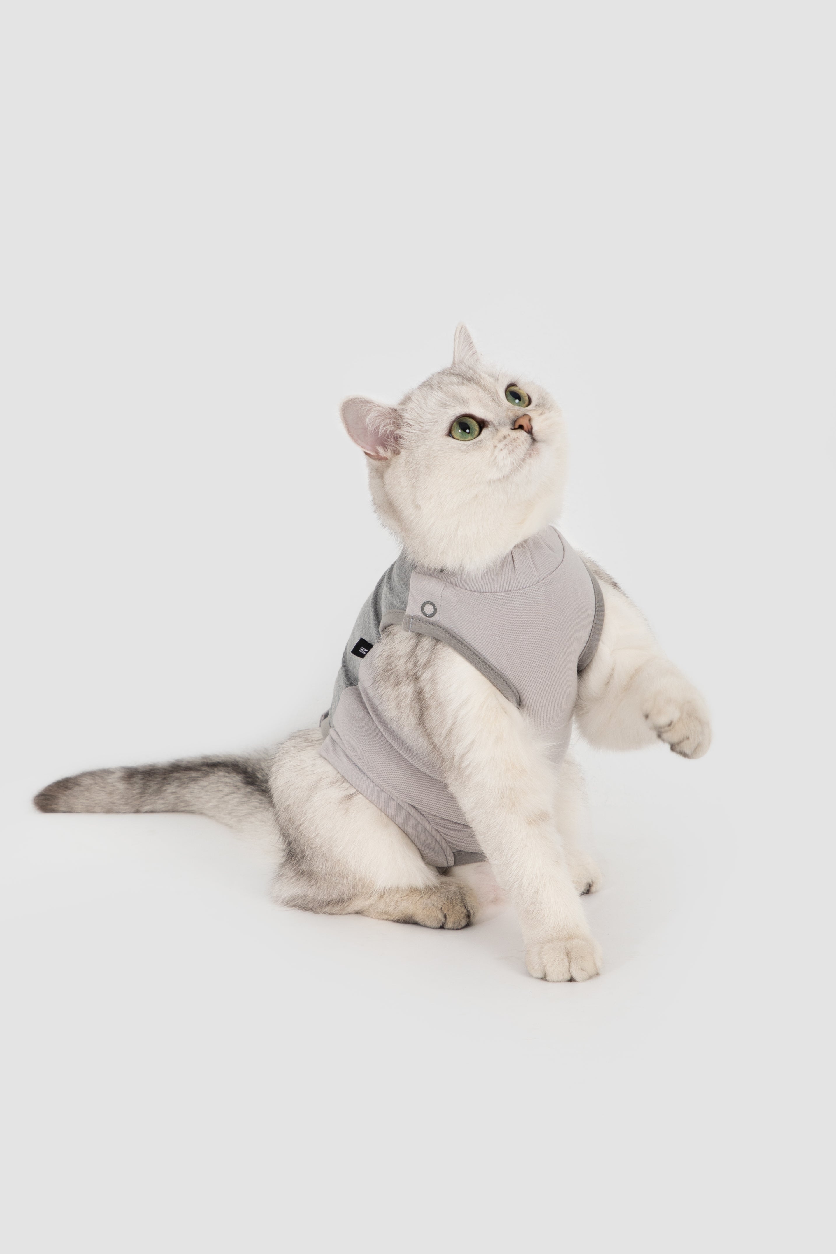 Colorblock Cat Recovery Suit