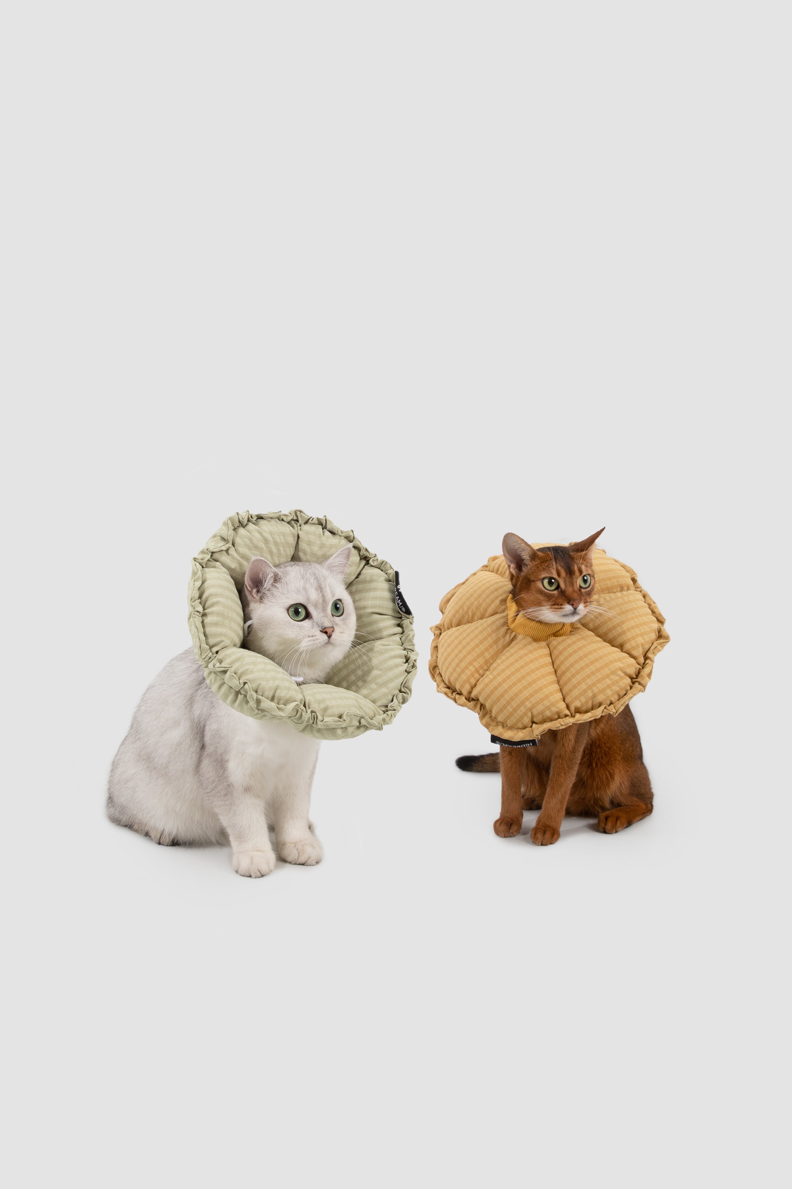 Plaid Floral Pet Recovery Collar Plus