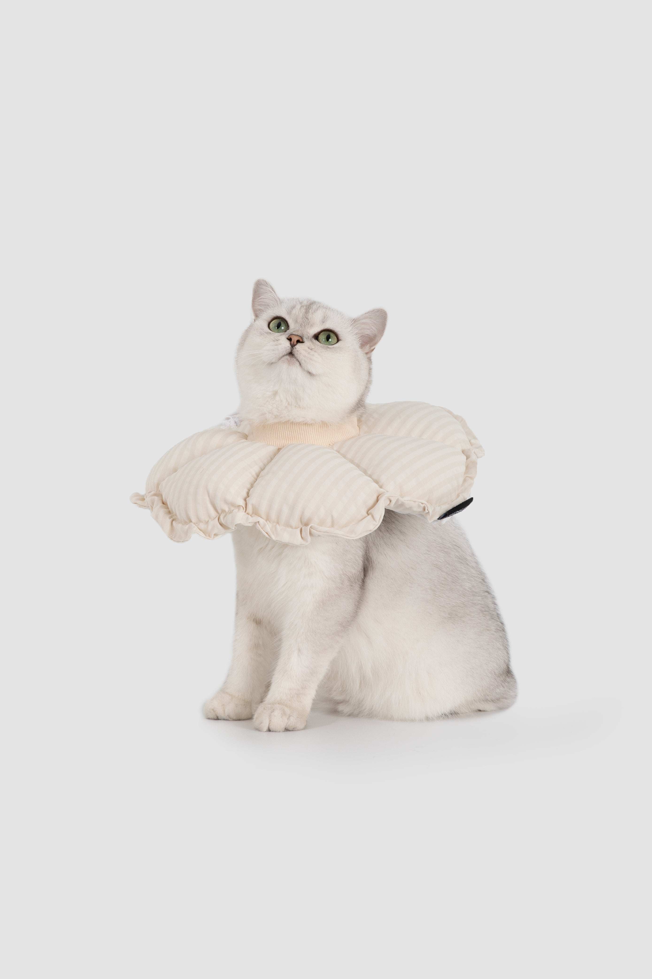 Plaid Floral Pet Recovery Collar Plus