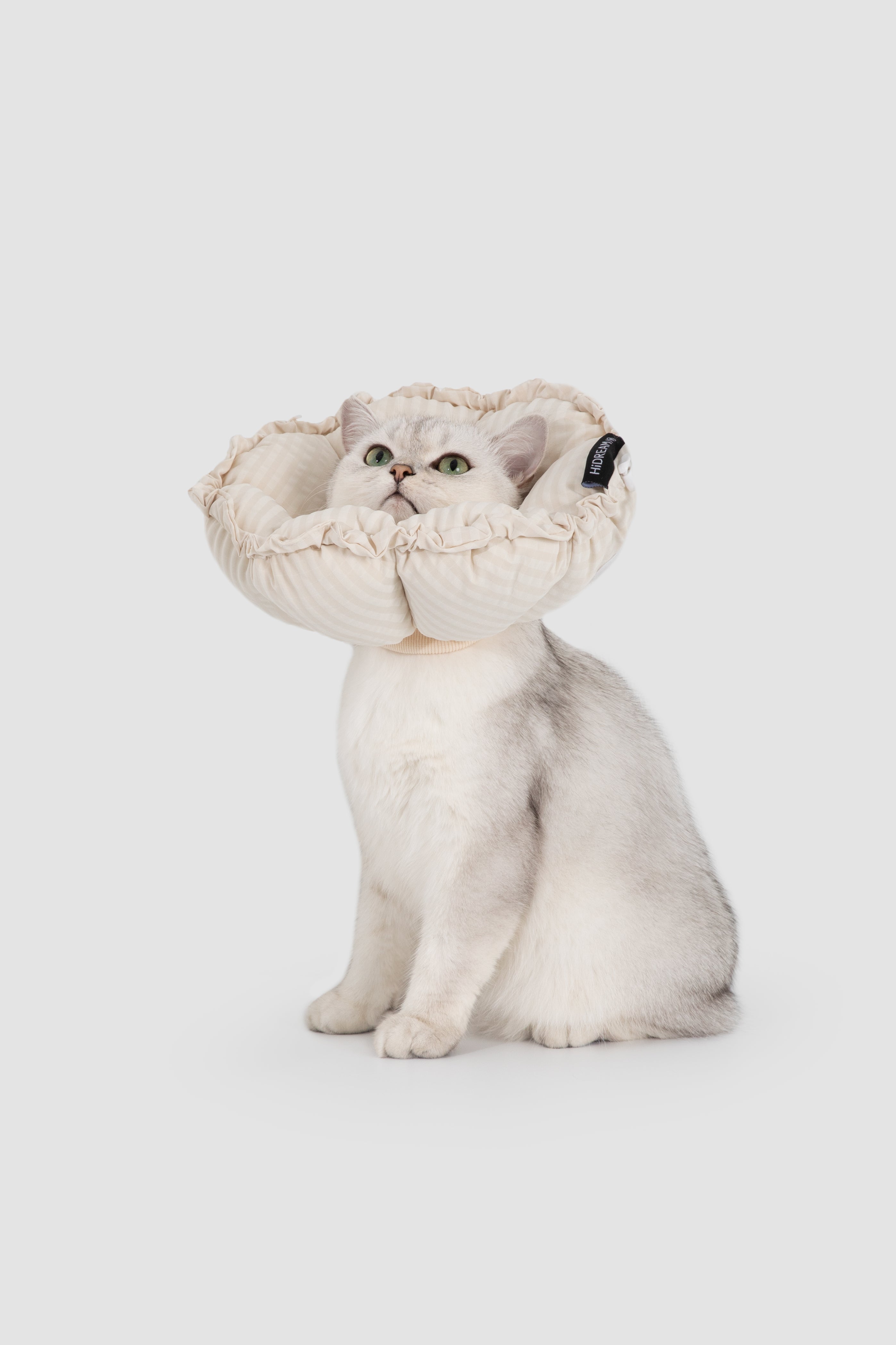 #color_eggshell-white