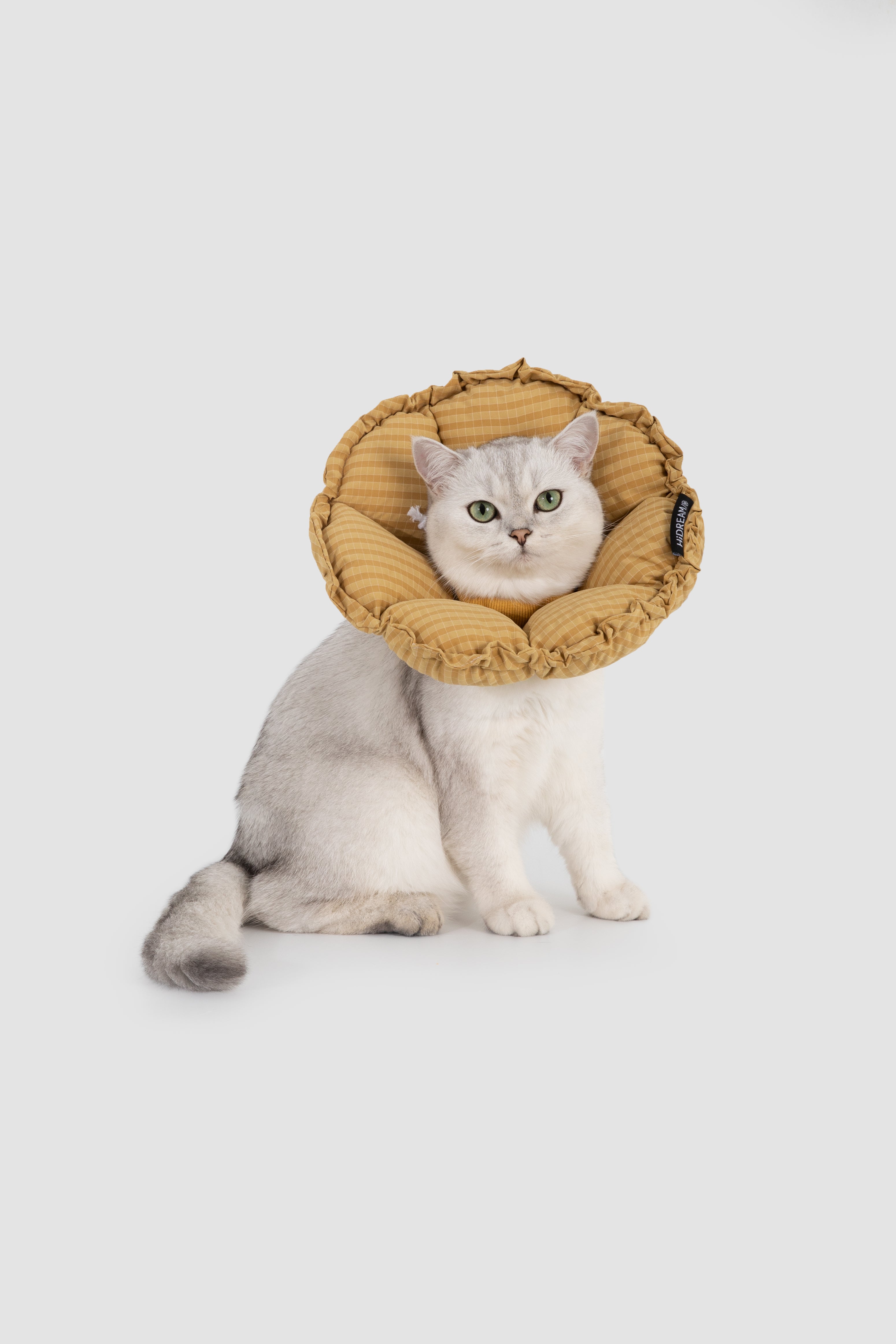 Plaid Floral Pet Recovery Collar Plus