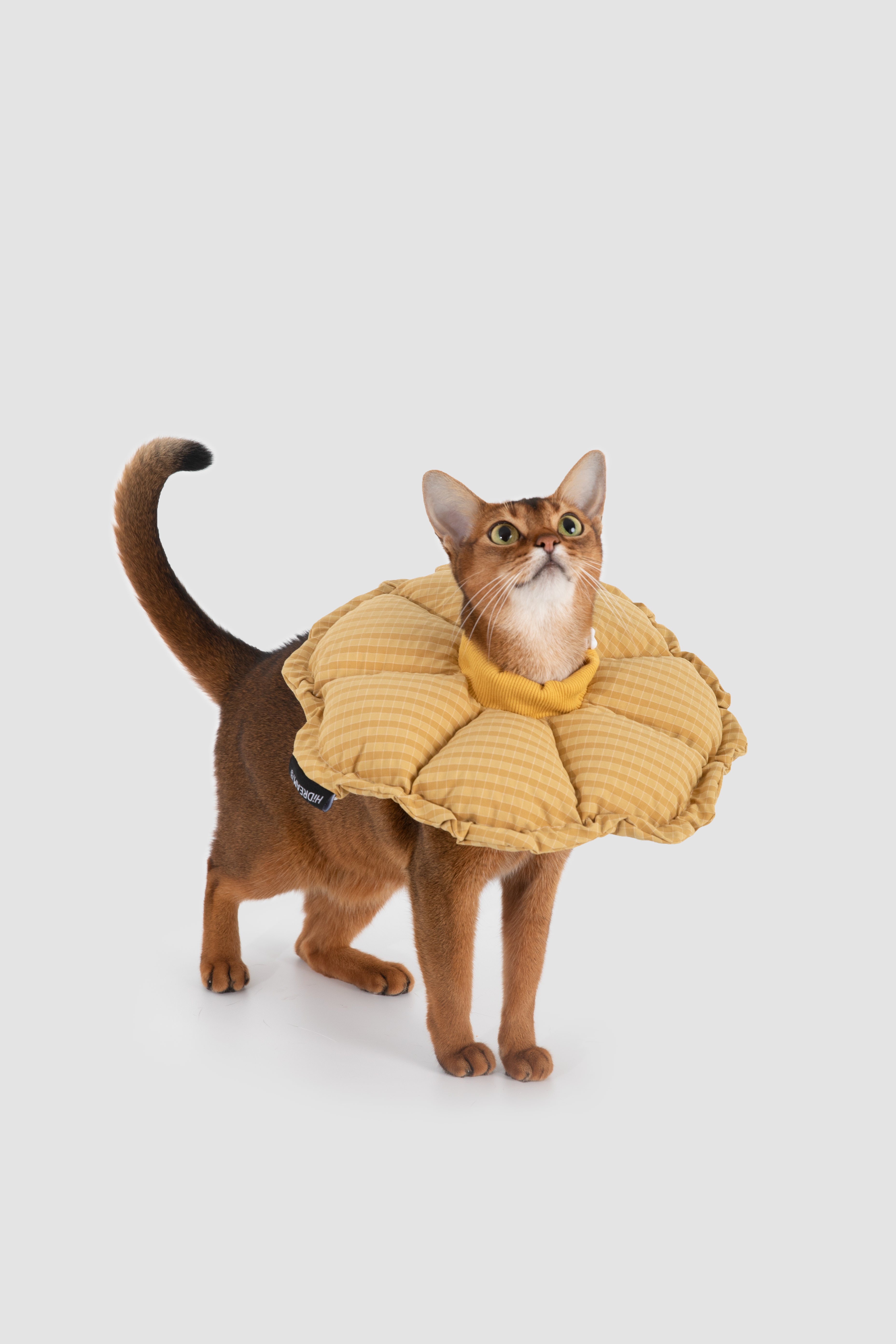 Plaid Floral Pet Recovery Collar Plus