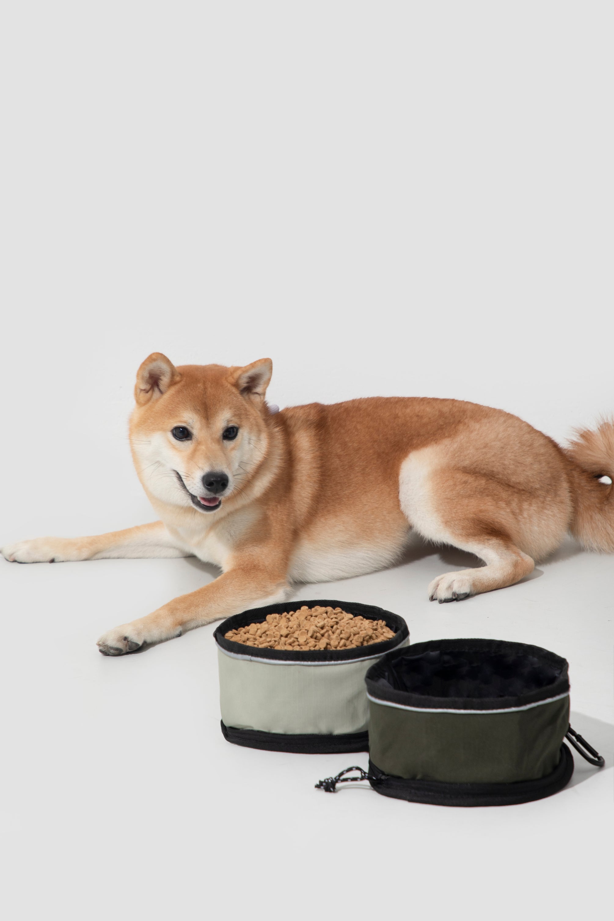 Collapsible Portable Pet Water Bowl - Dessert Tan