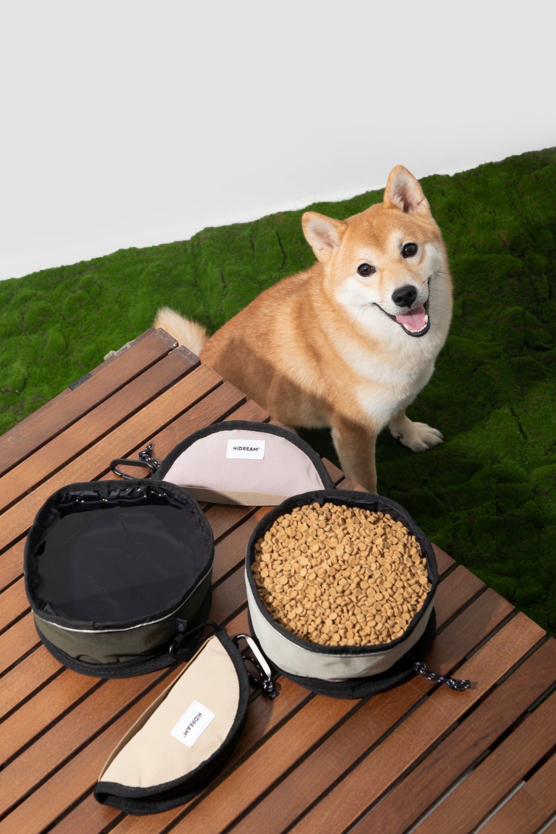 Collapsible Portable Pet Water Bowl - Dessert Tan
