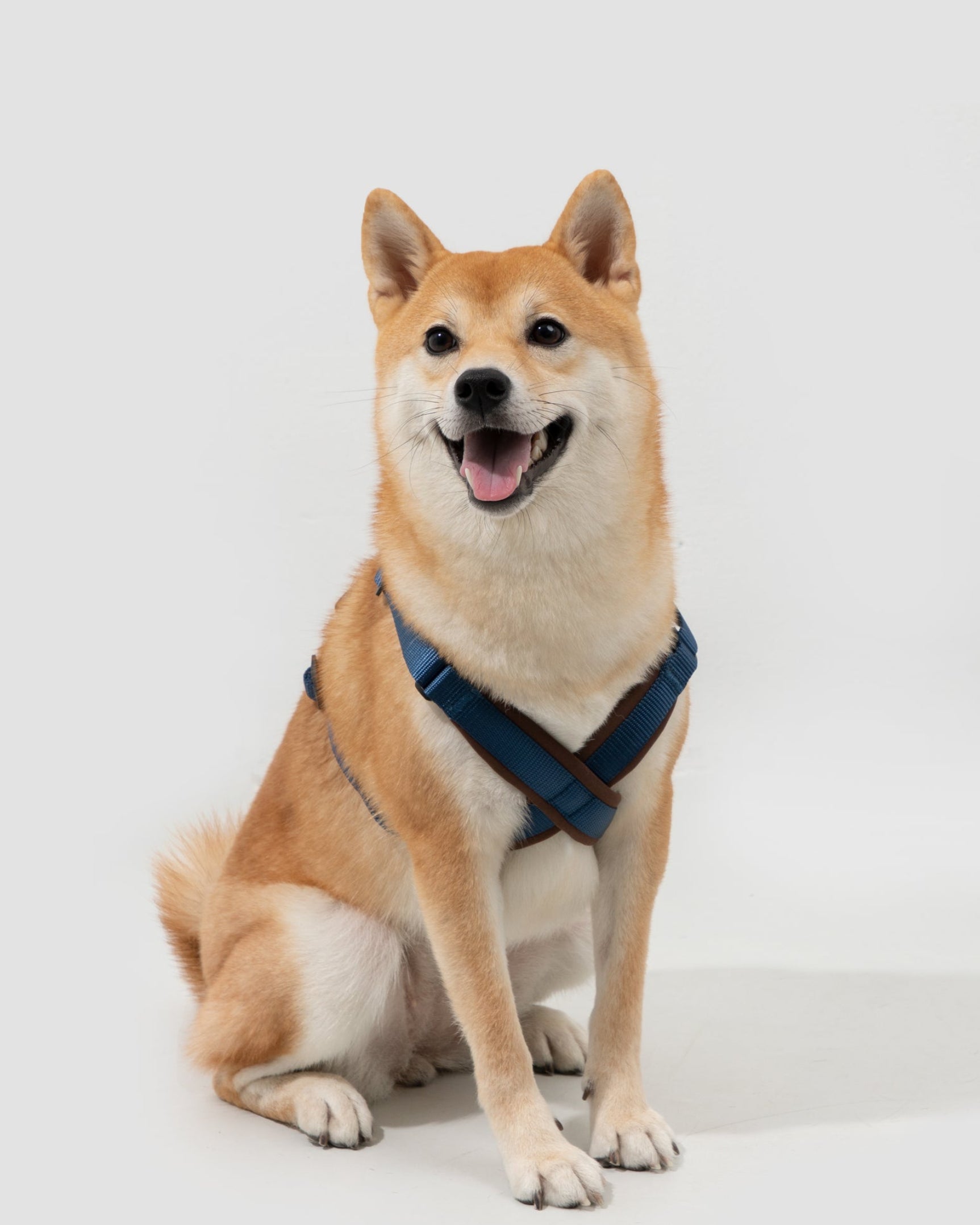 X-Shaped Trachea Protection Dog Harness - Dark Red