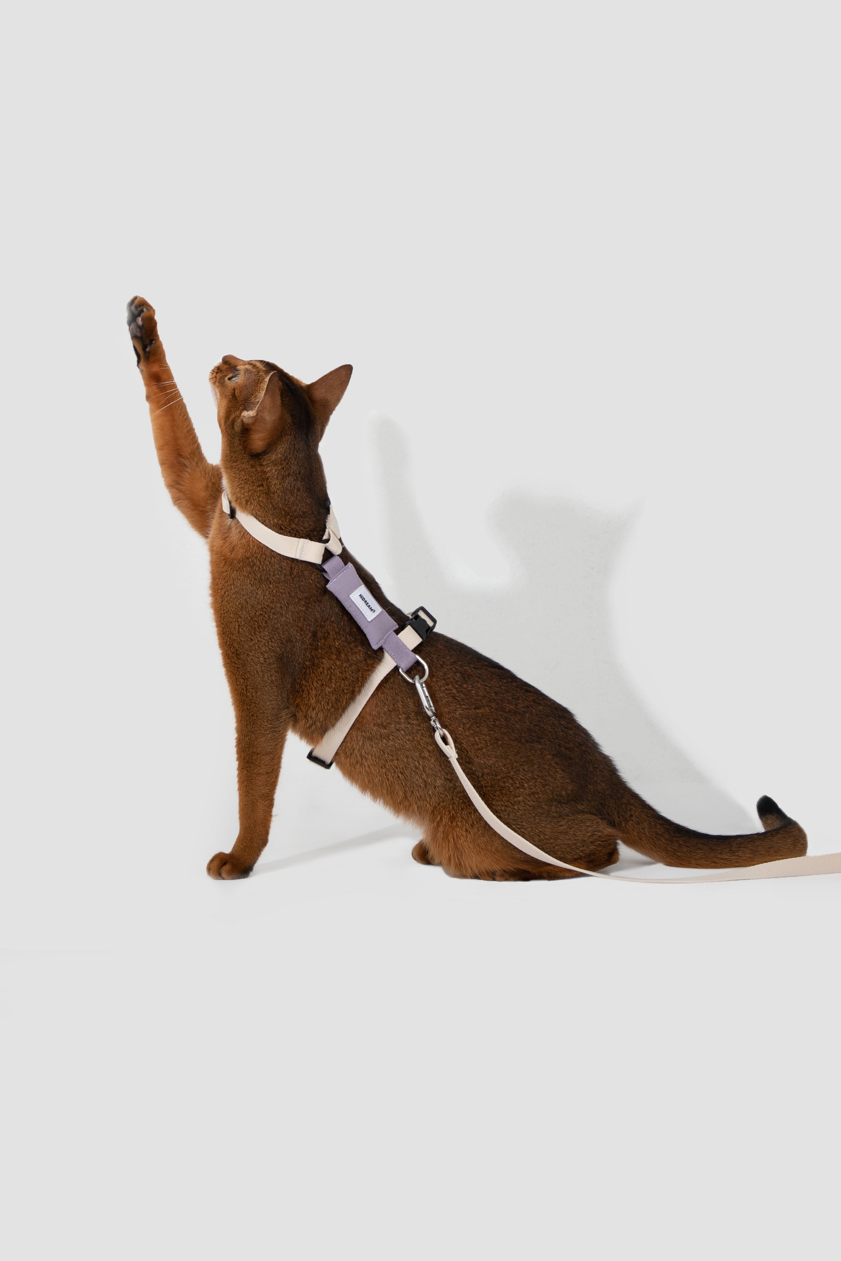 H-Style Adjustable Cat Harness and Leash Set - Green & Grey