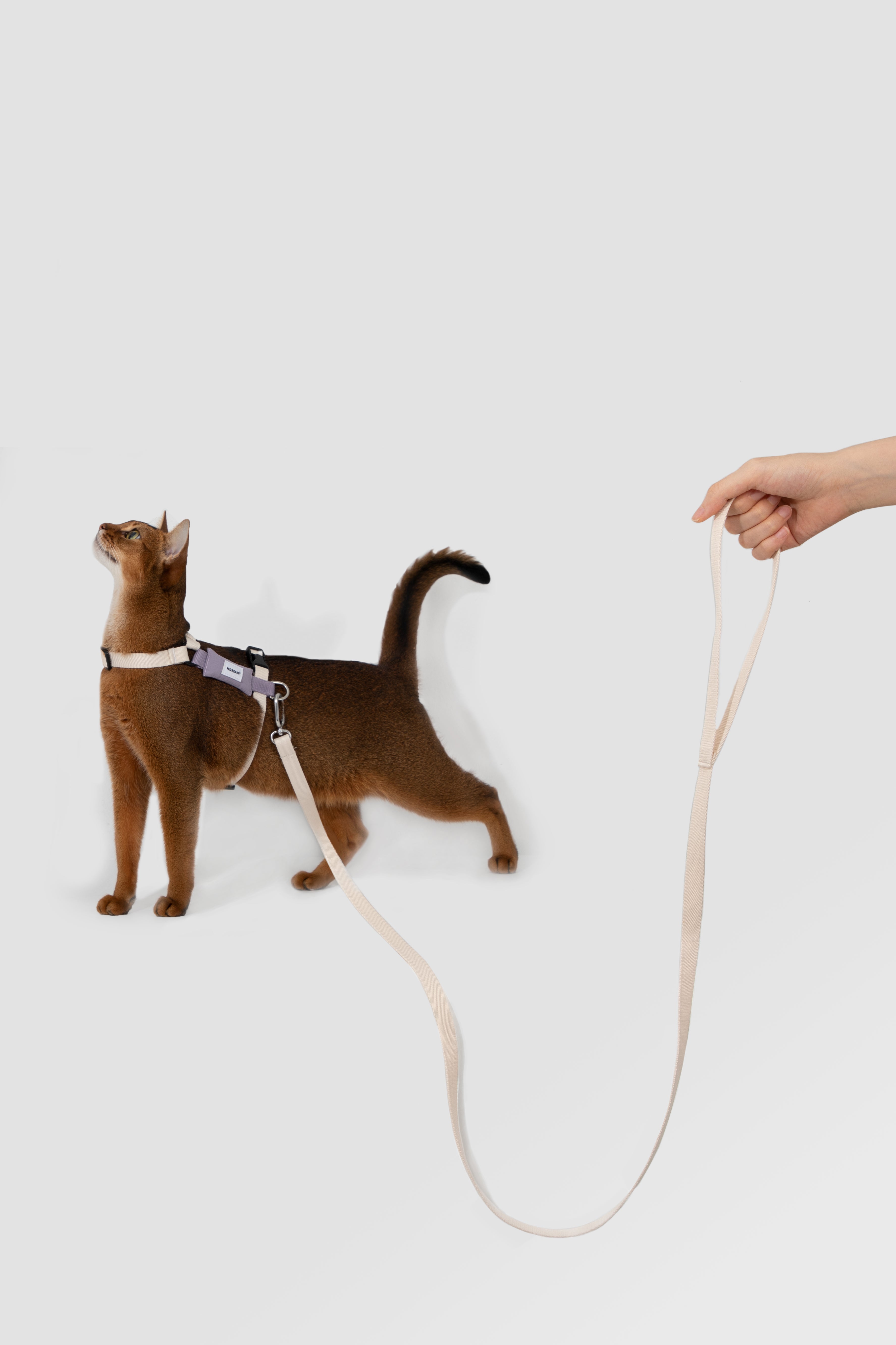 H-Style Adjustable Cat Harness and Leash Set