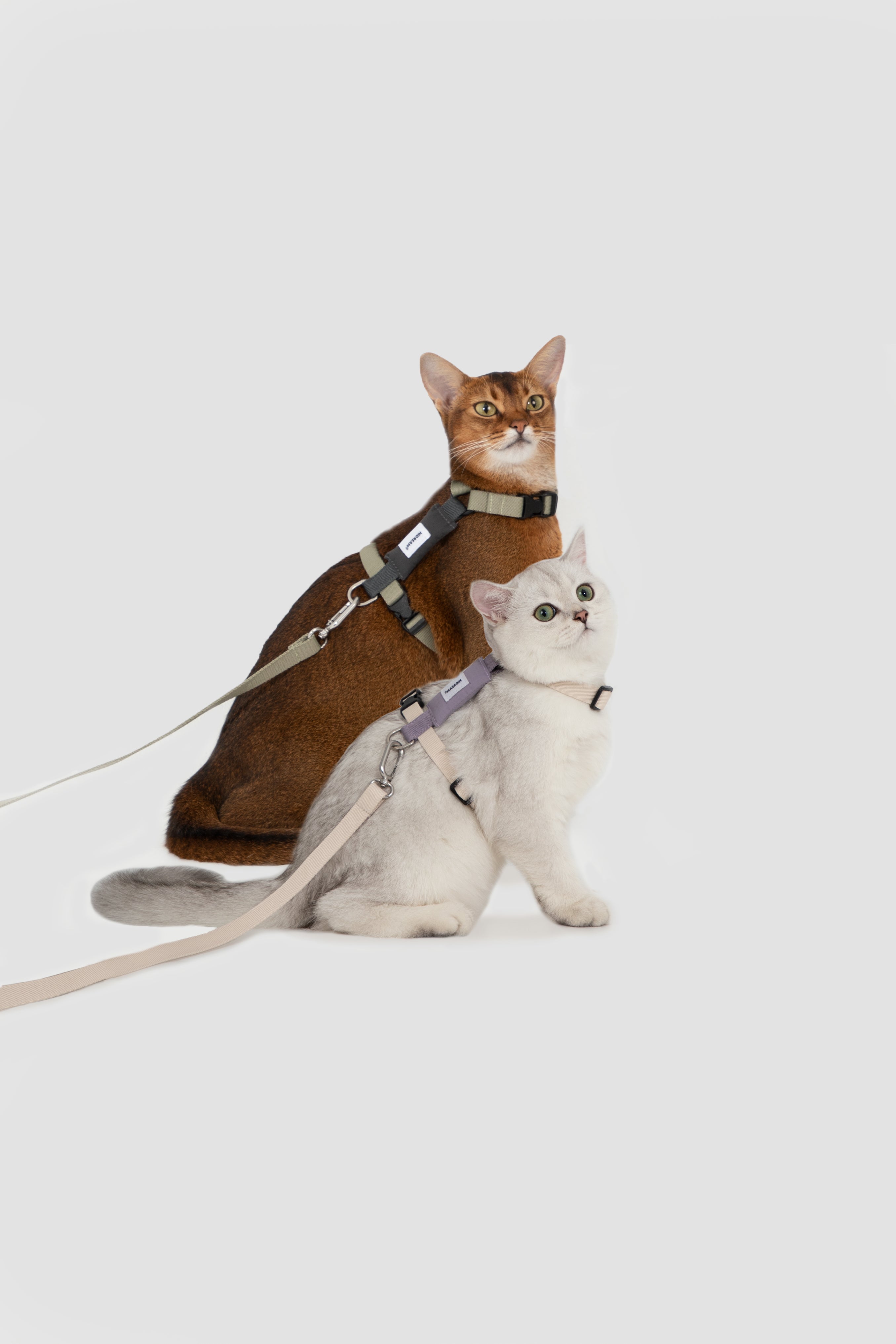 H-Style Adjustable Cat Harness and Leash Set