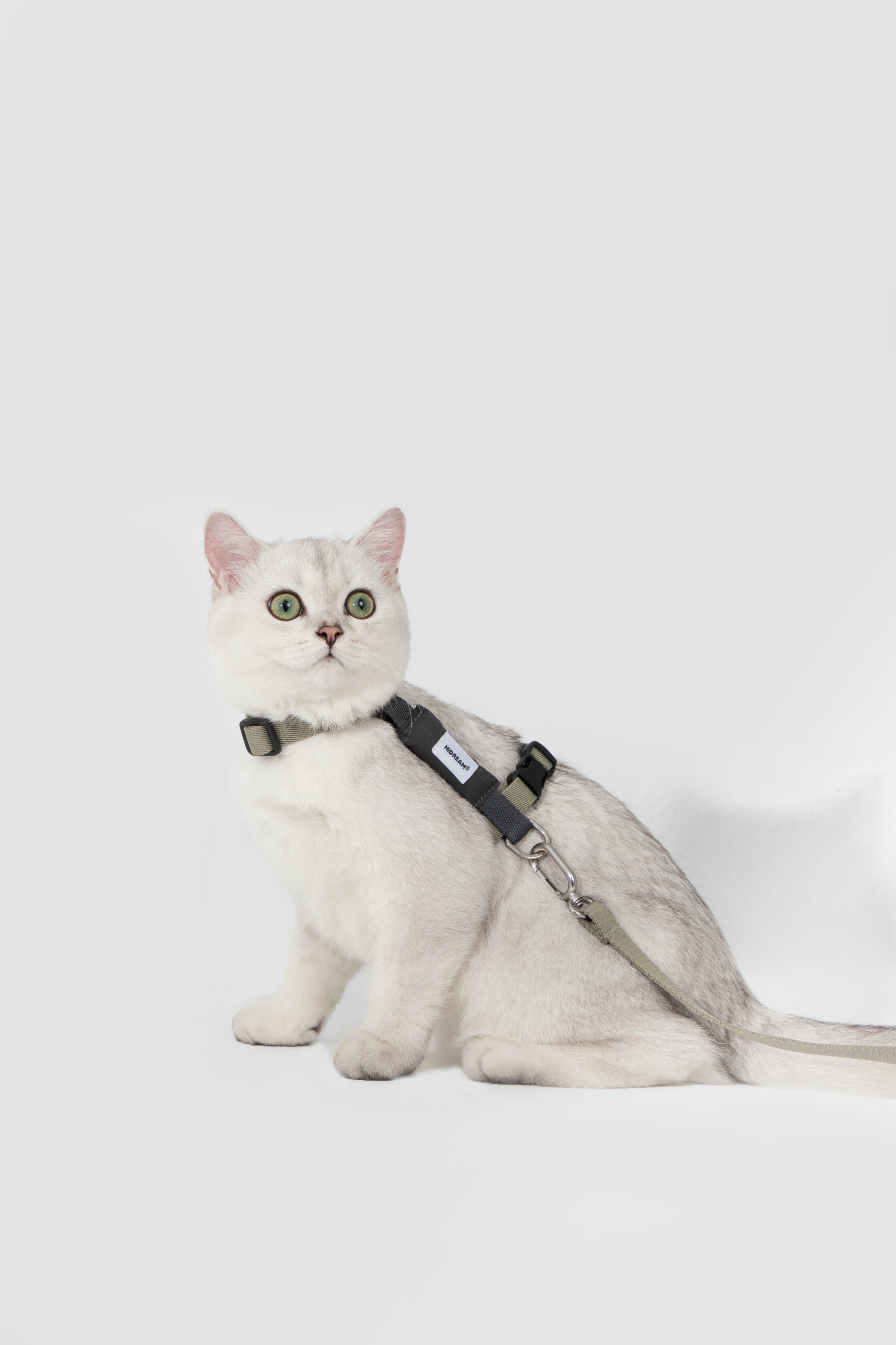 H-Style Adjustable Cat Harness and Leash Set