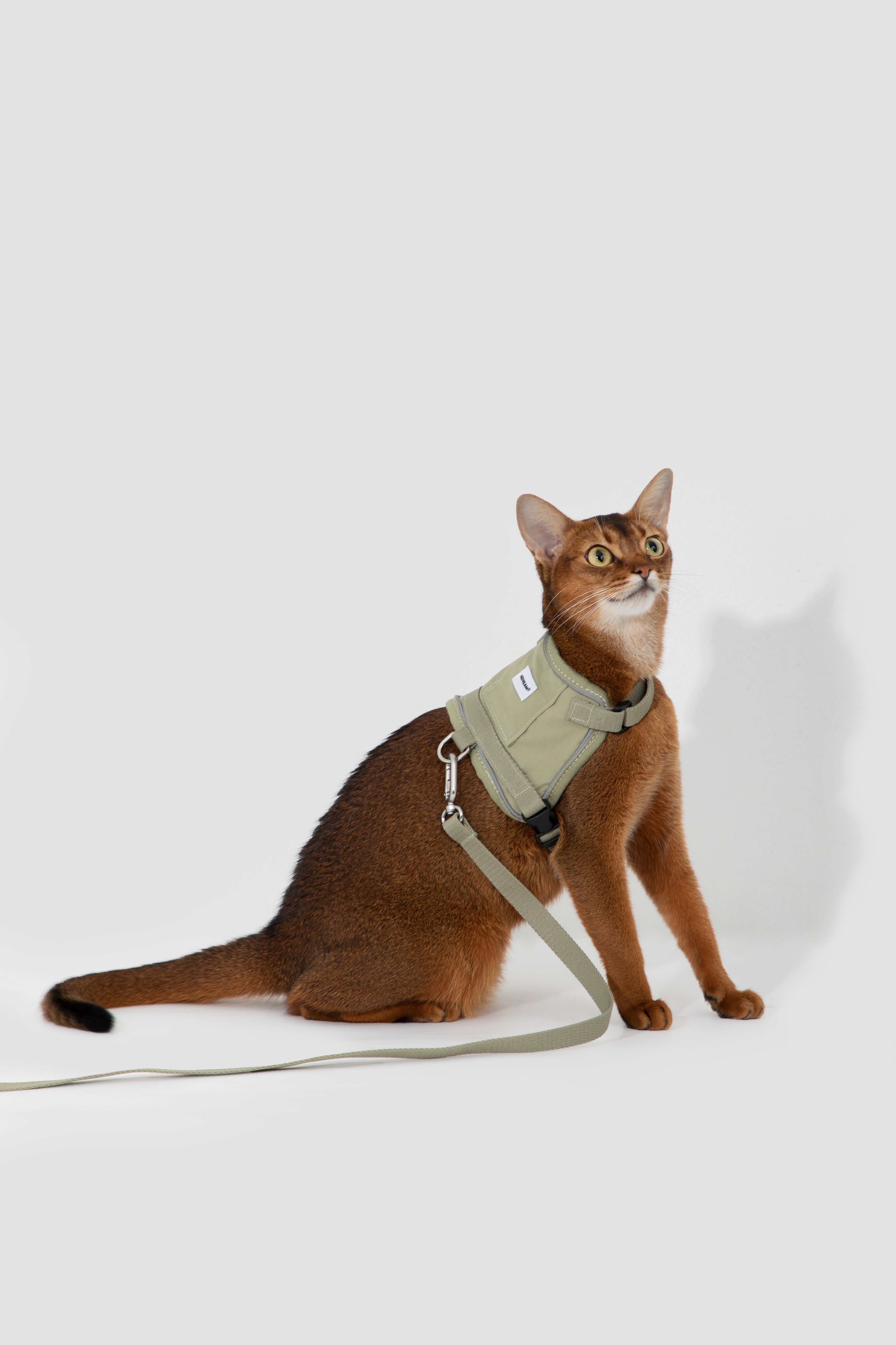 Mini Vest Cat Harness Set