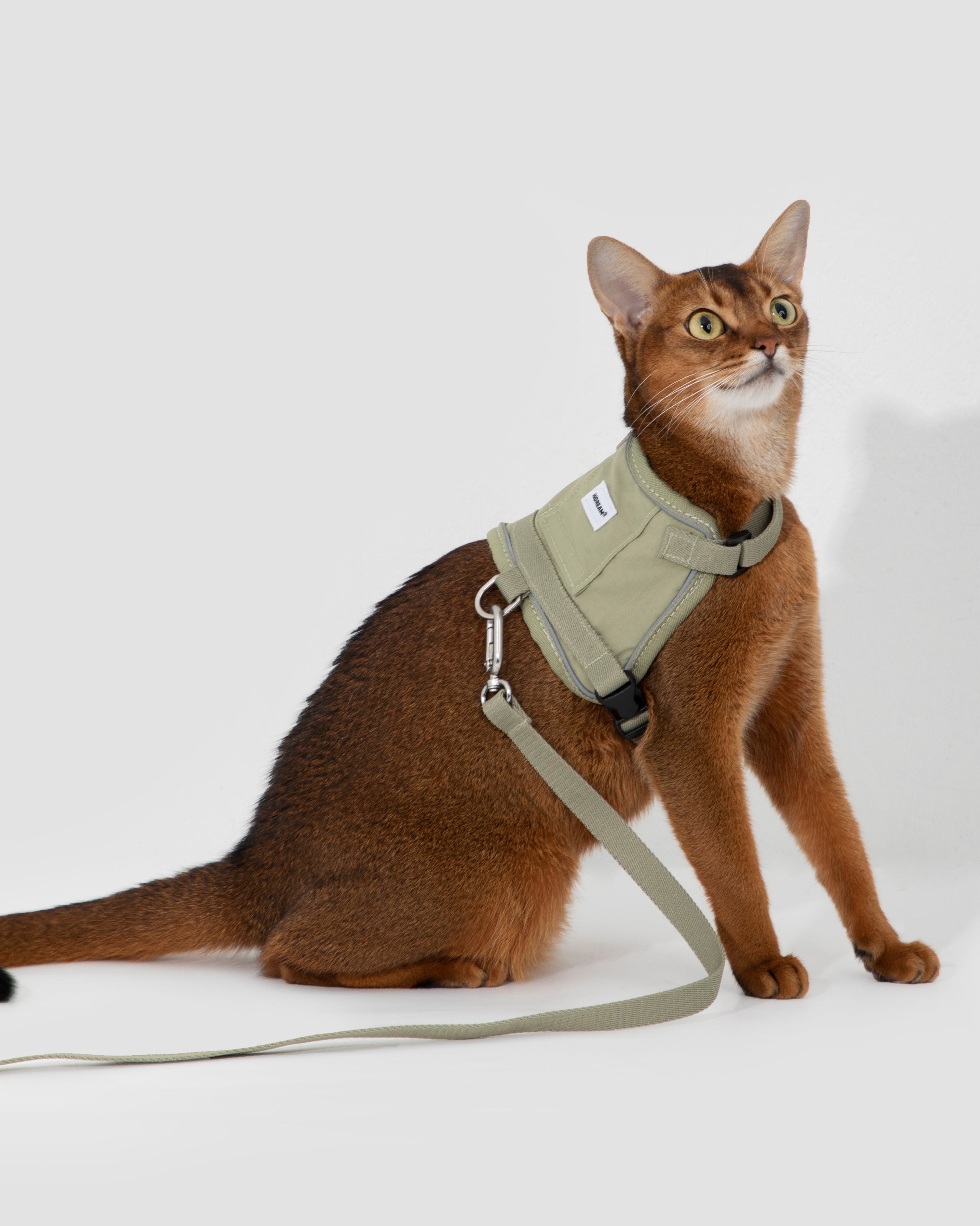 Mini Vest Cat Harness Set - Oat Milk