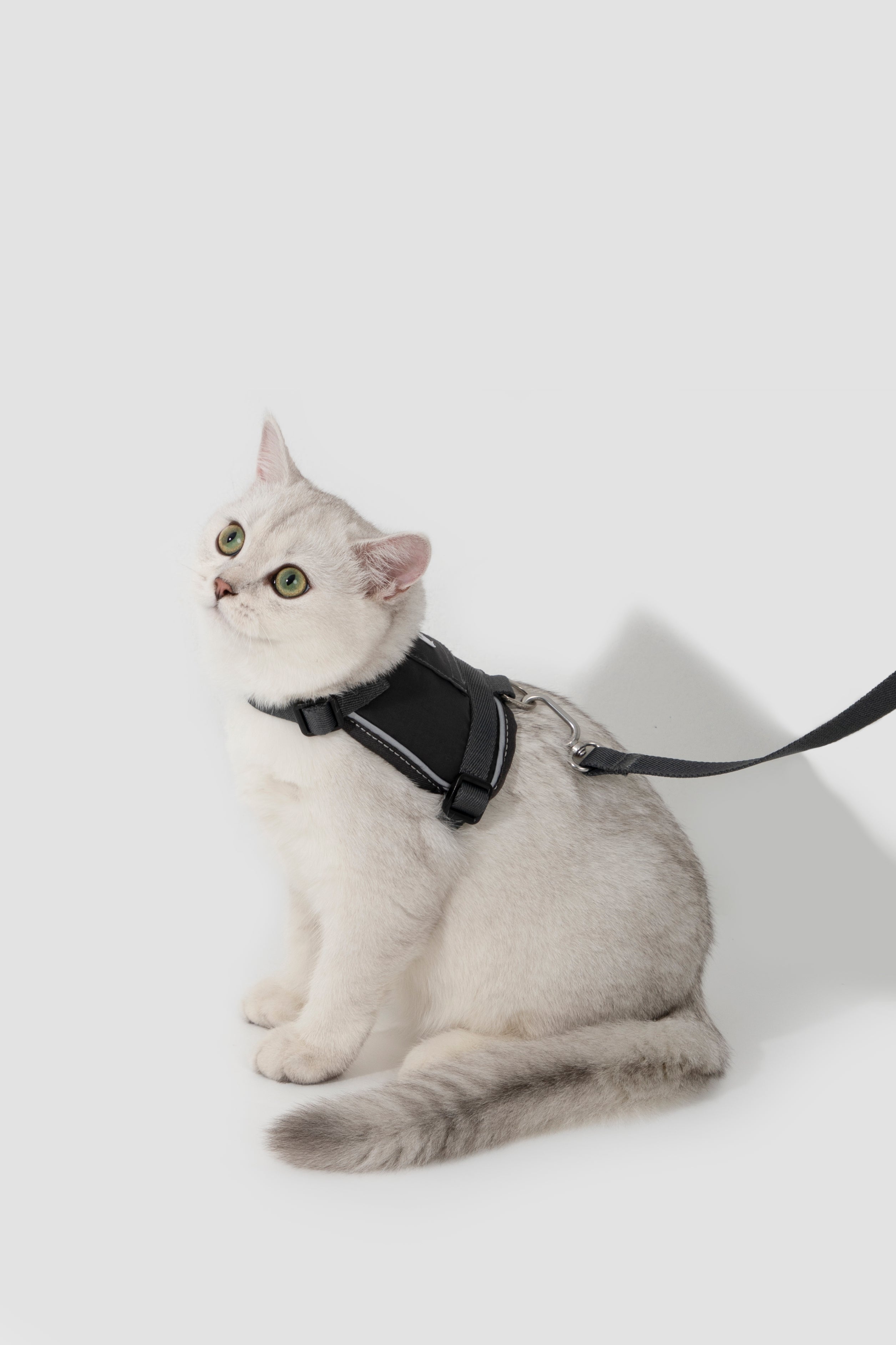 Mini Vest Cat Harness Set - Oat Milk