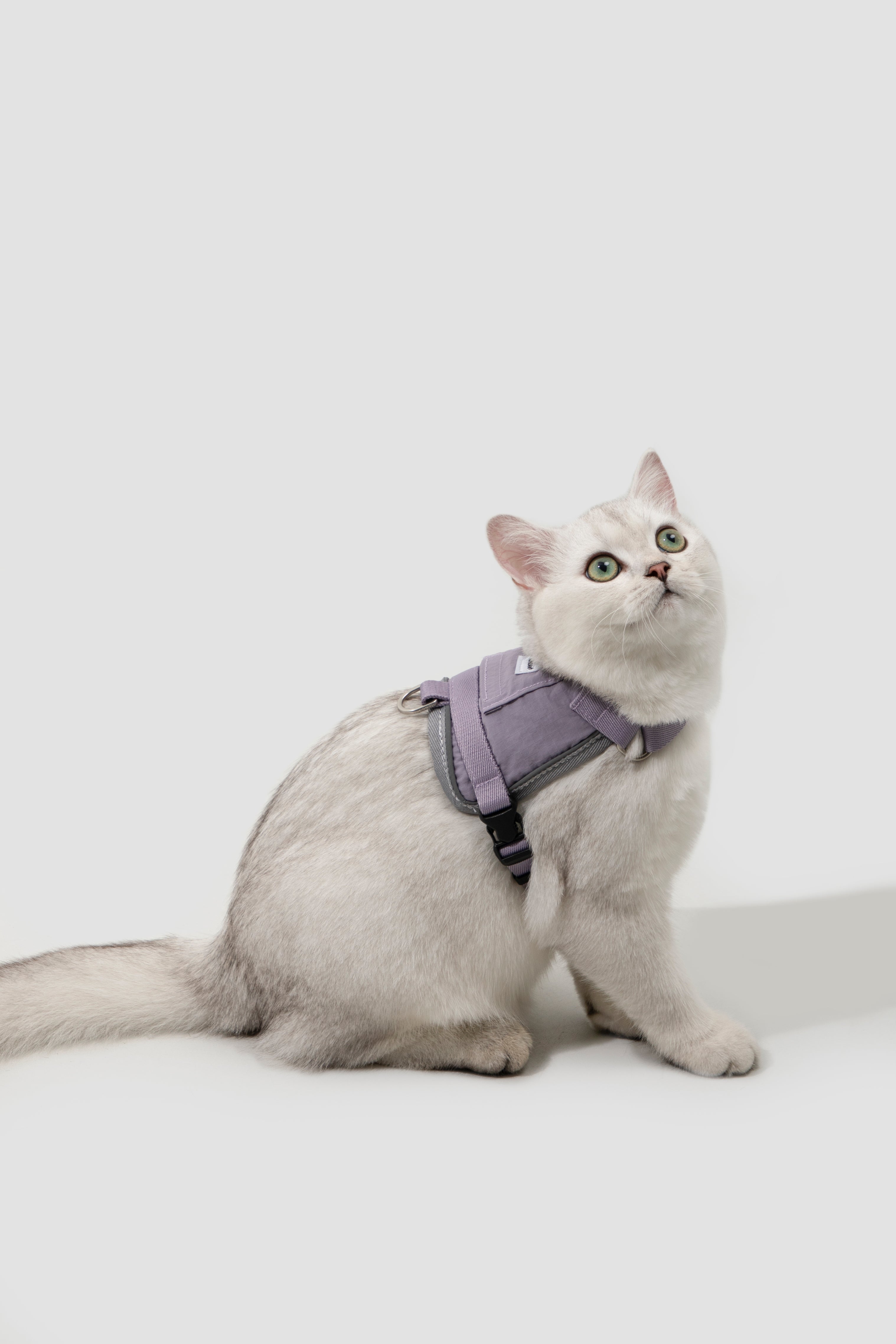 Mini Vest Cat Harness Set - Oat Milk
