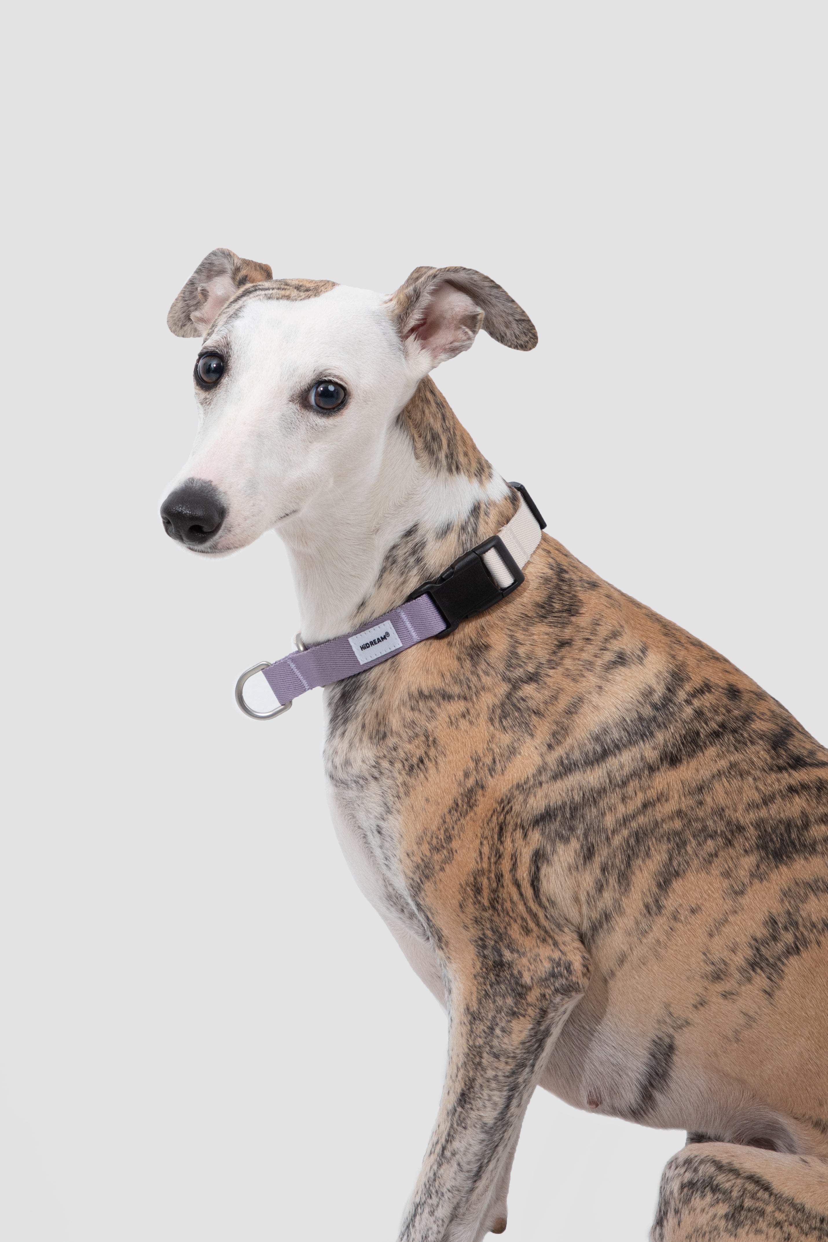 Anti-pull Half-Choke Dog Collar