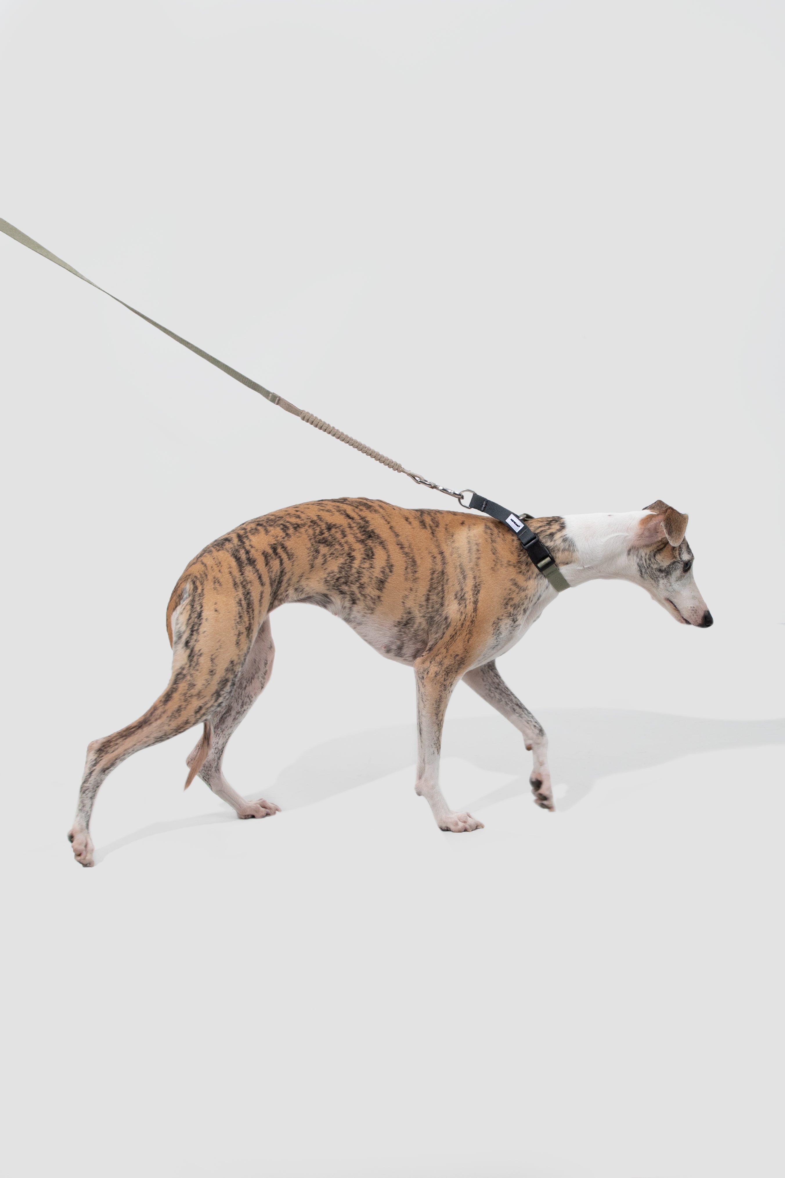 Anti-pull Half-Choke Dog Collar