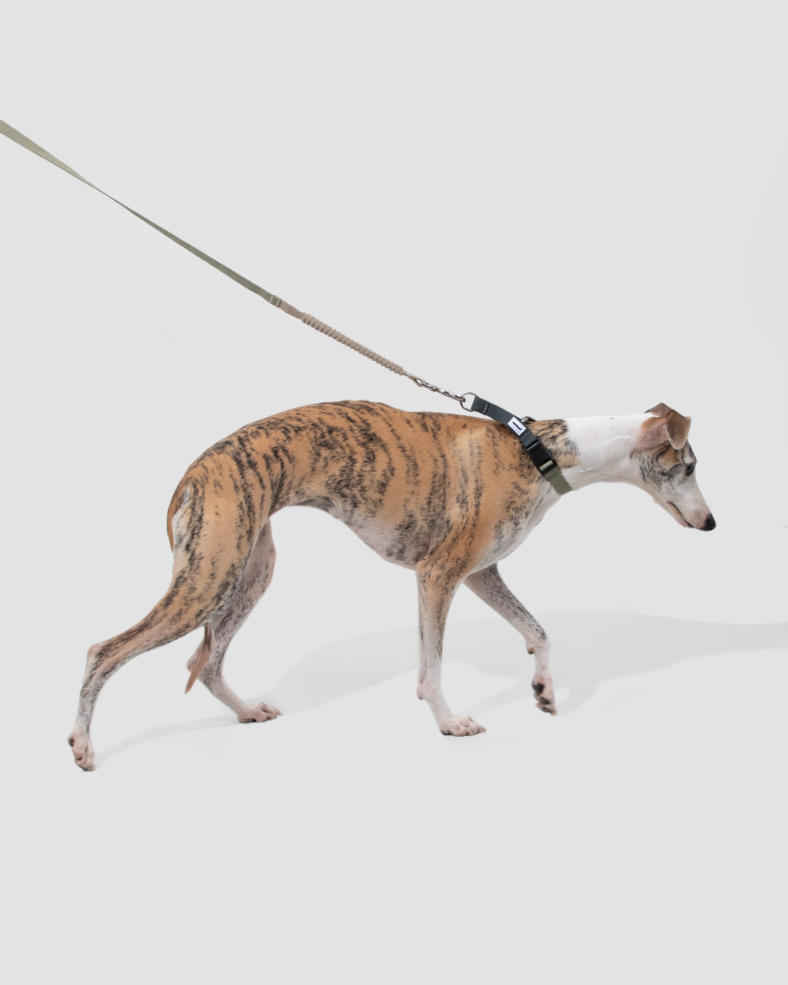 Anti-pull Half-Choke Dog Collar