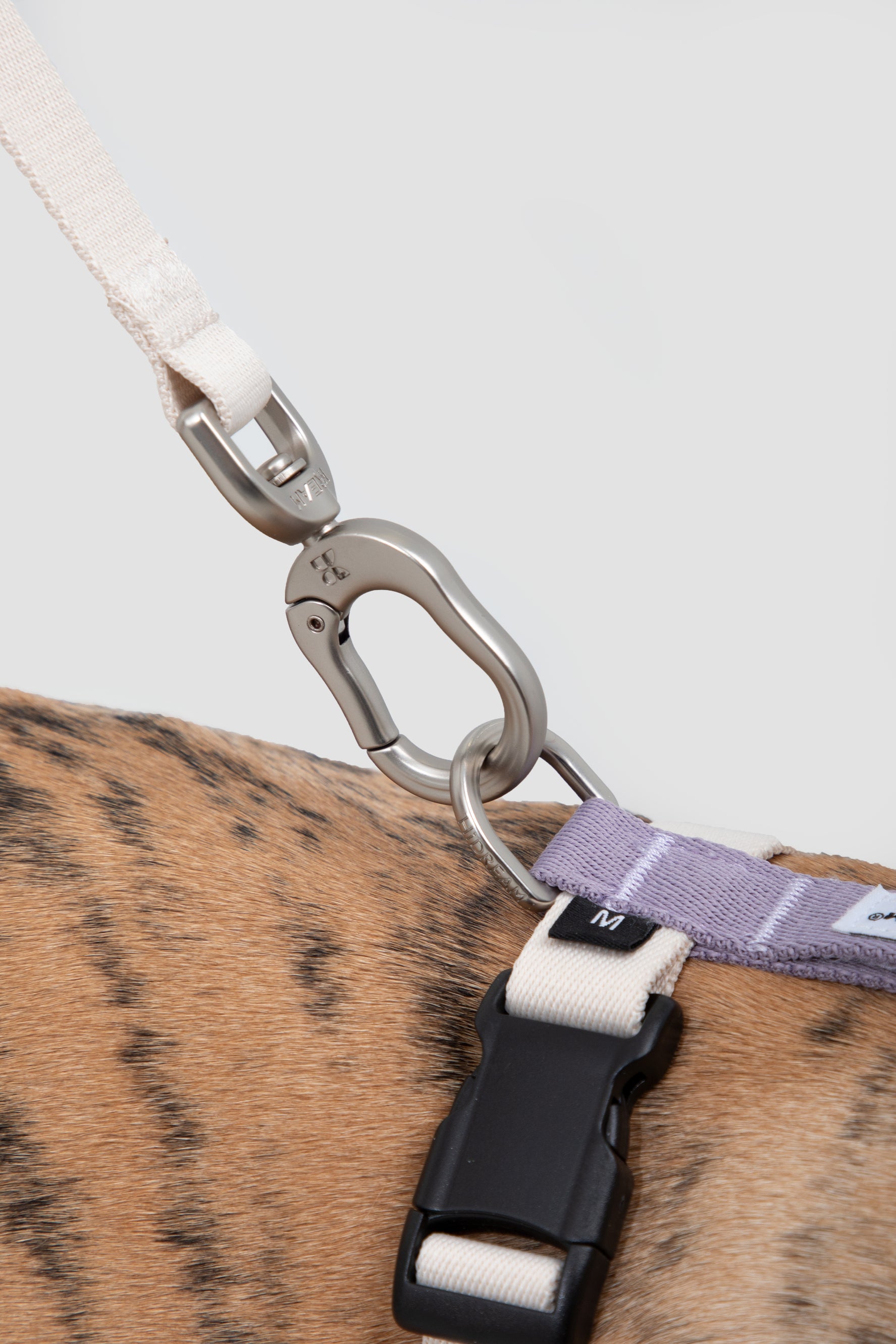 H-Style Adjustable Dog Harness Vest and Leash Set