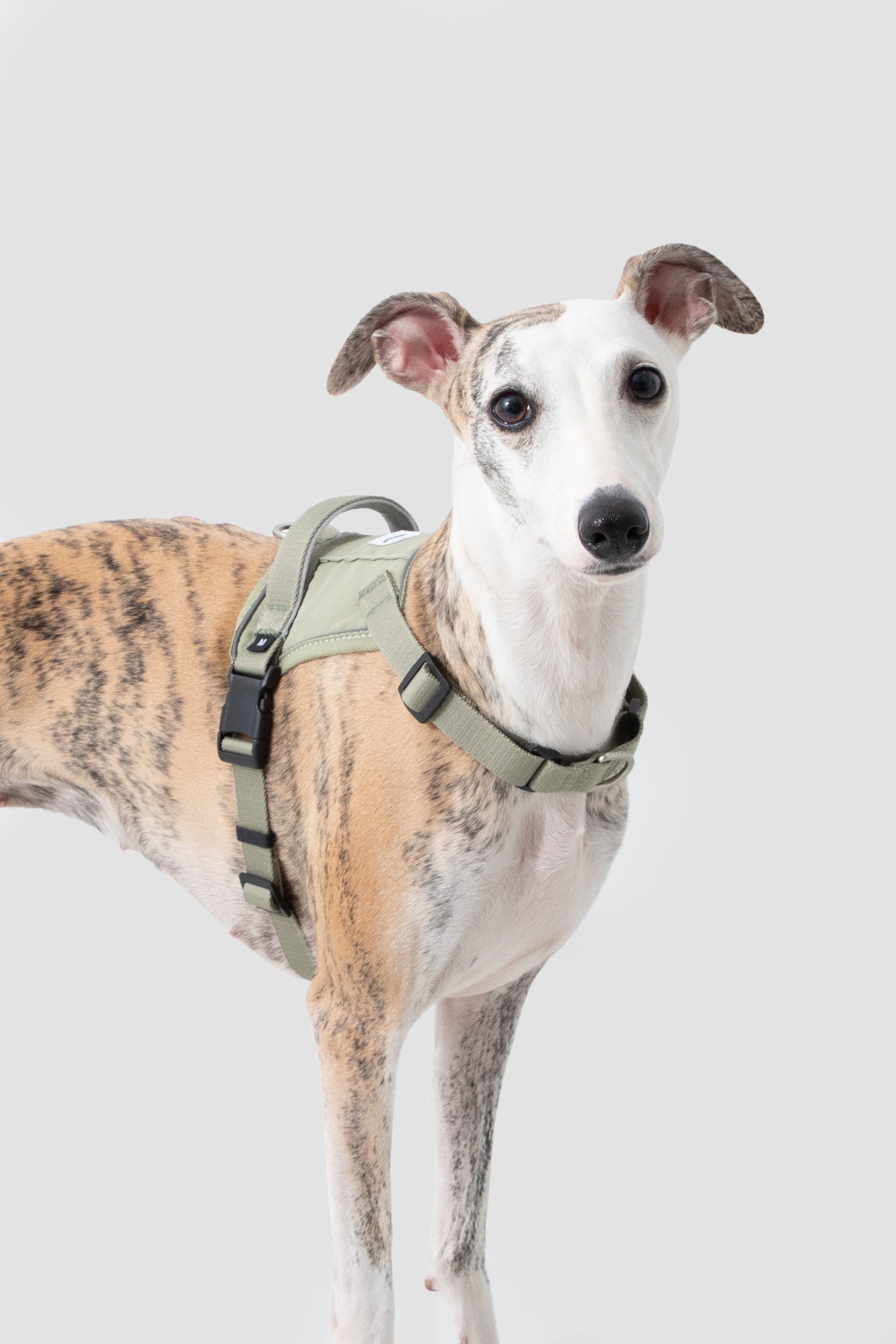 Anti-pull quick-fit Vest-style Dog Harness