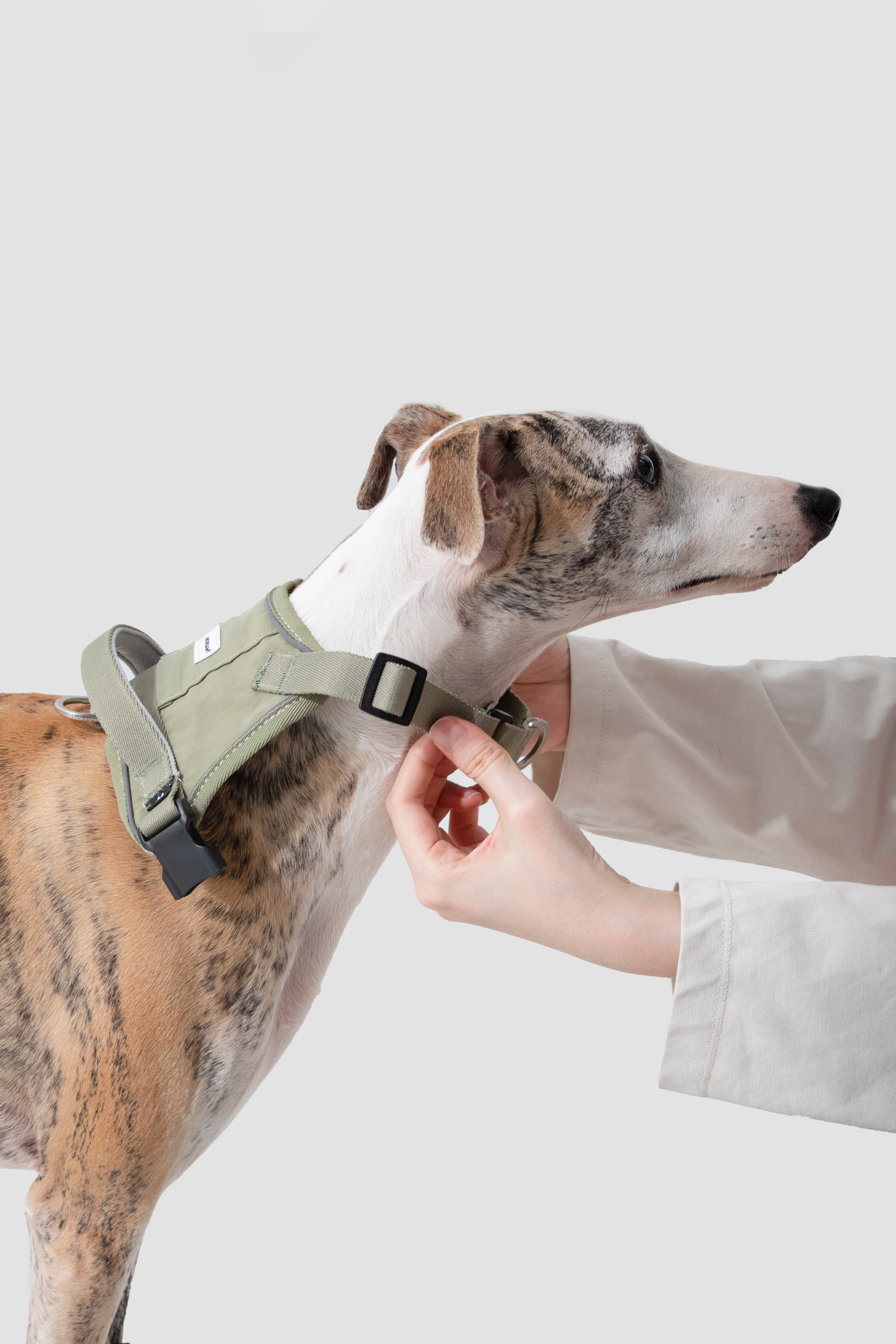 Anti-pull quick-fit Vest-style Dog Harness