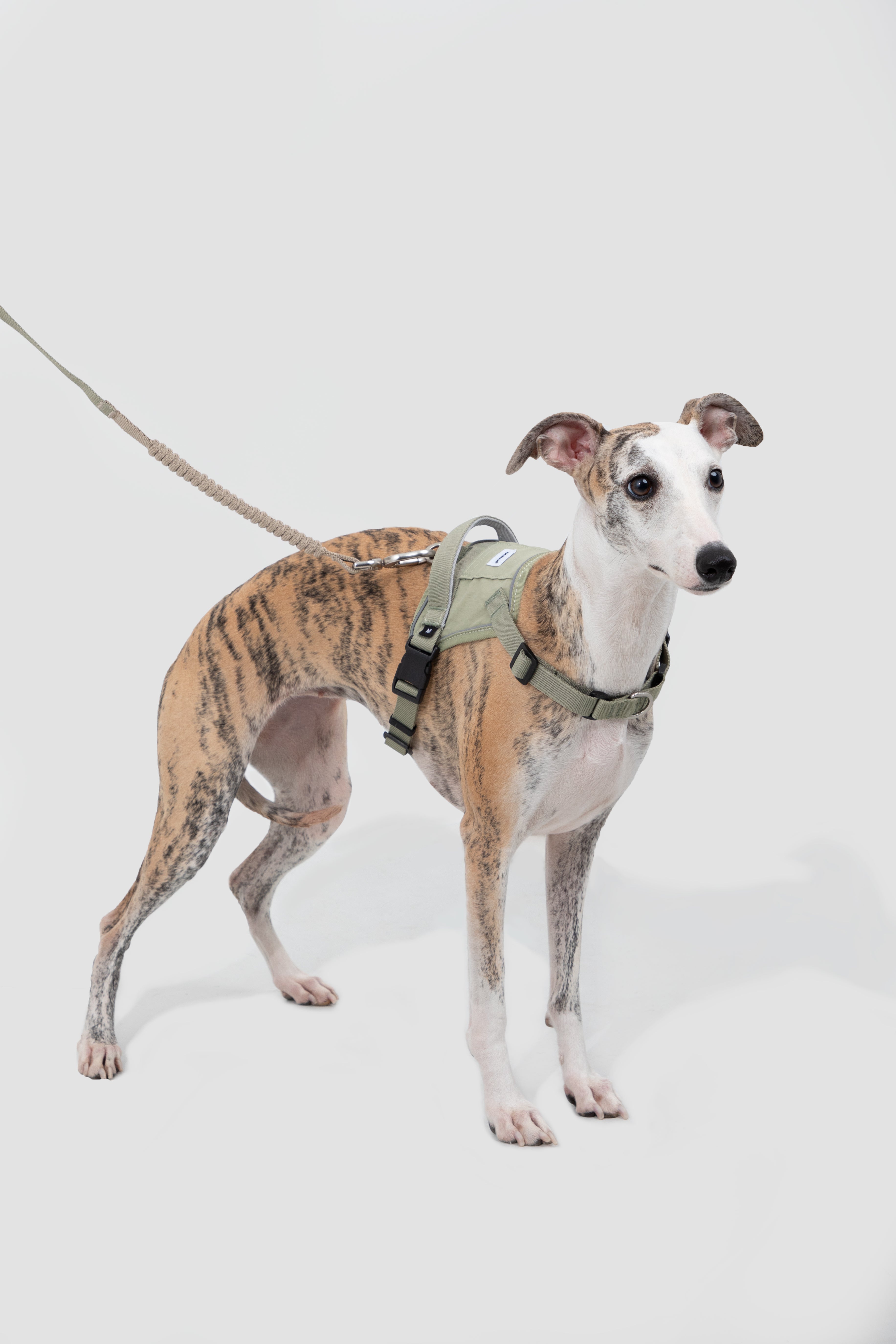 Anti-pull quick-fit Vest-style Dog Harness