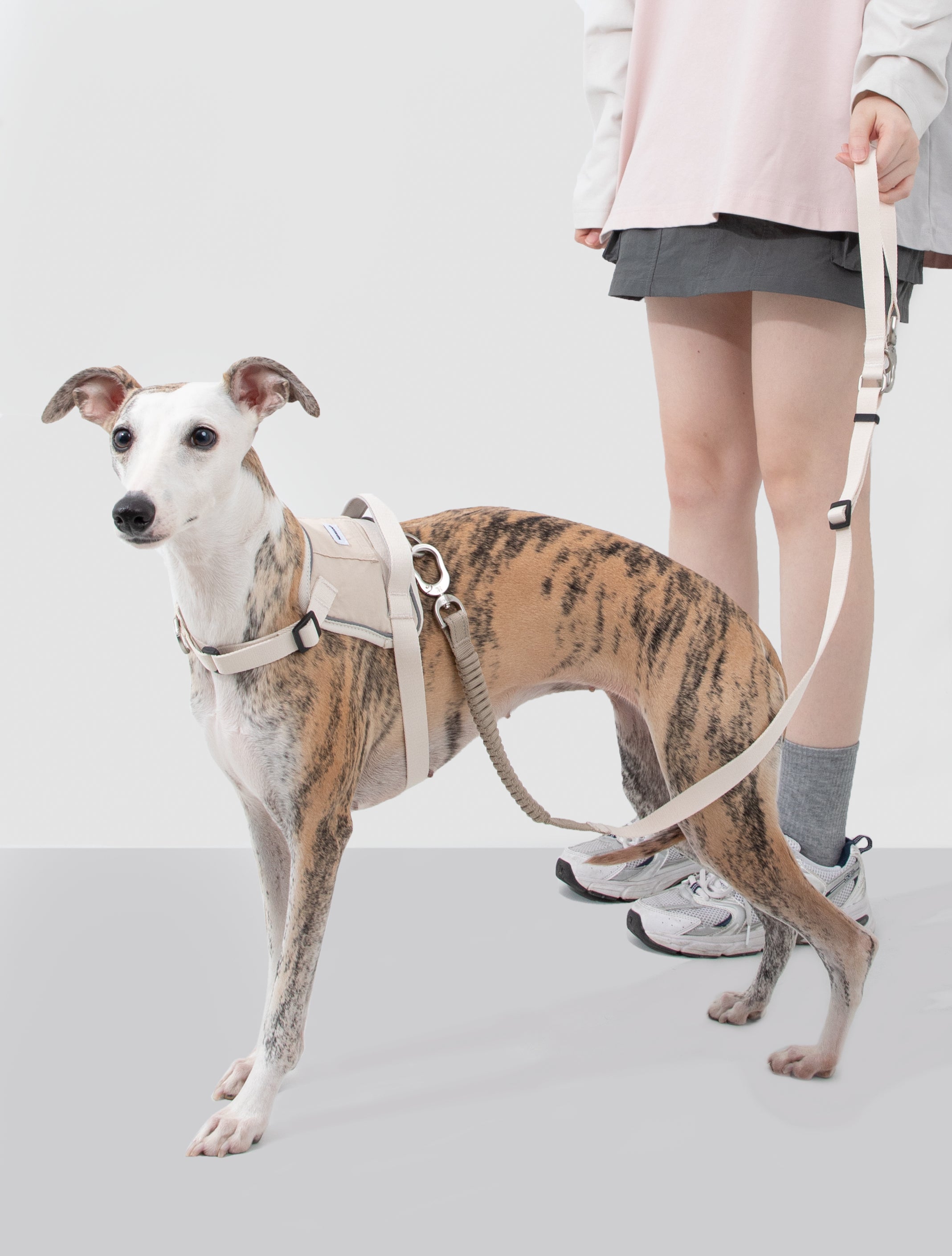 Anti-pull Multi-Functional Dog Leash