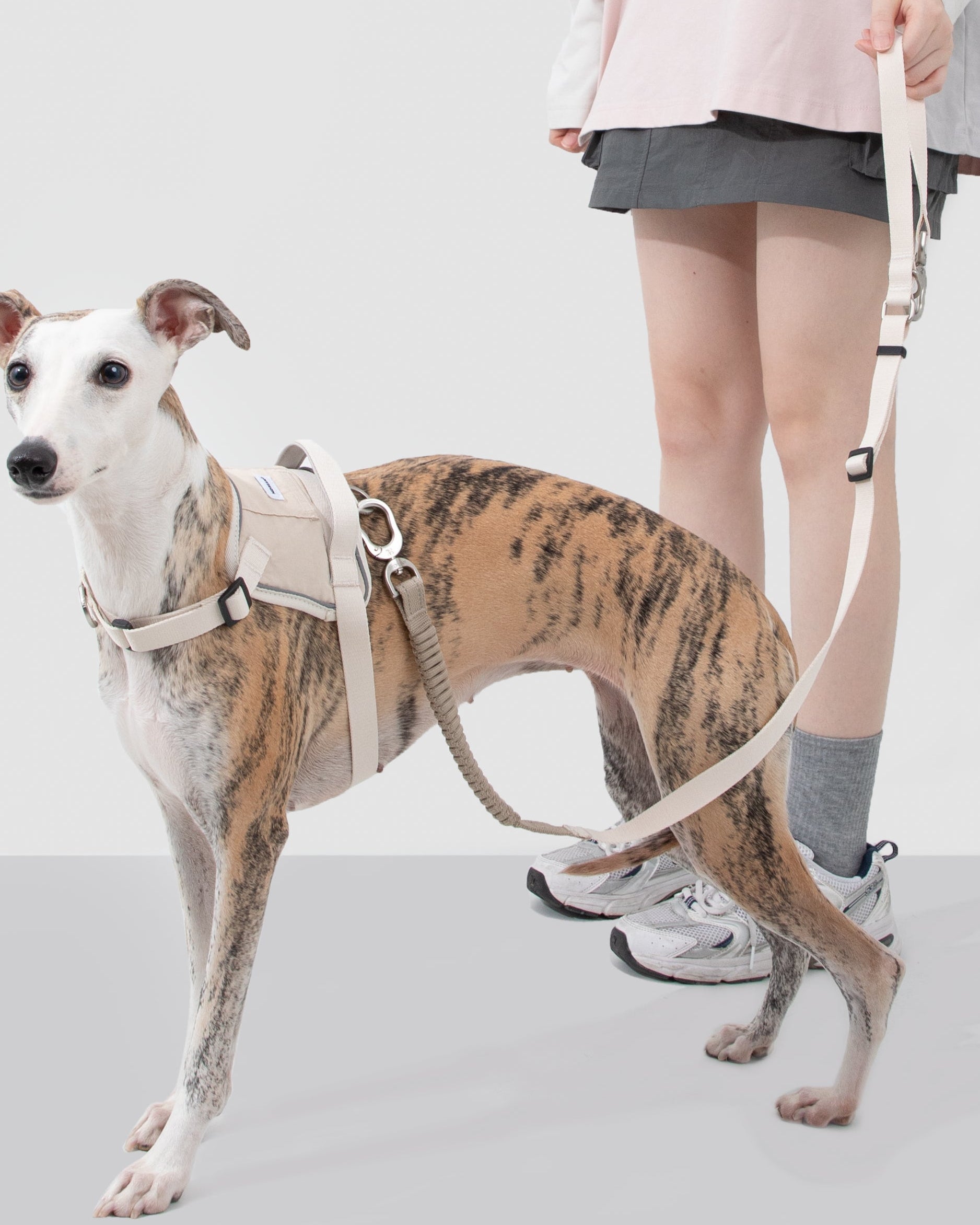 Anti-pull Multi-Functional Dog Leash - Charcoal Grey