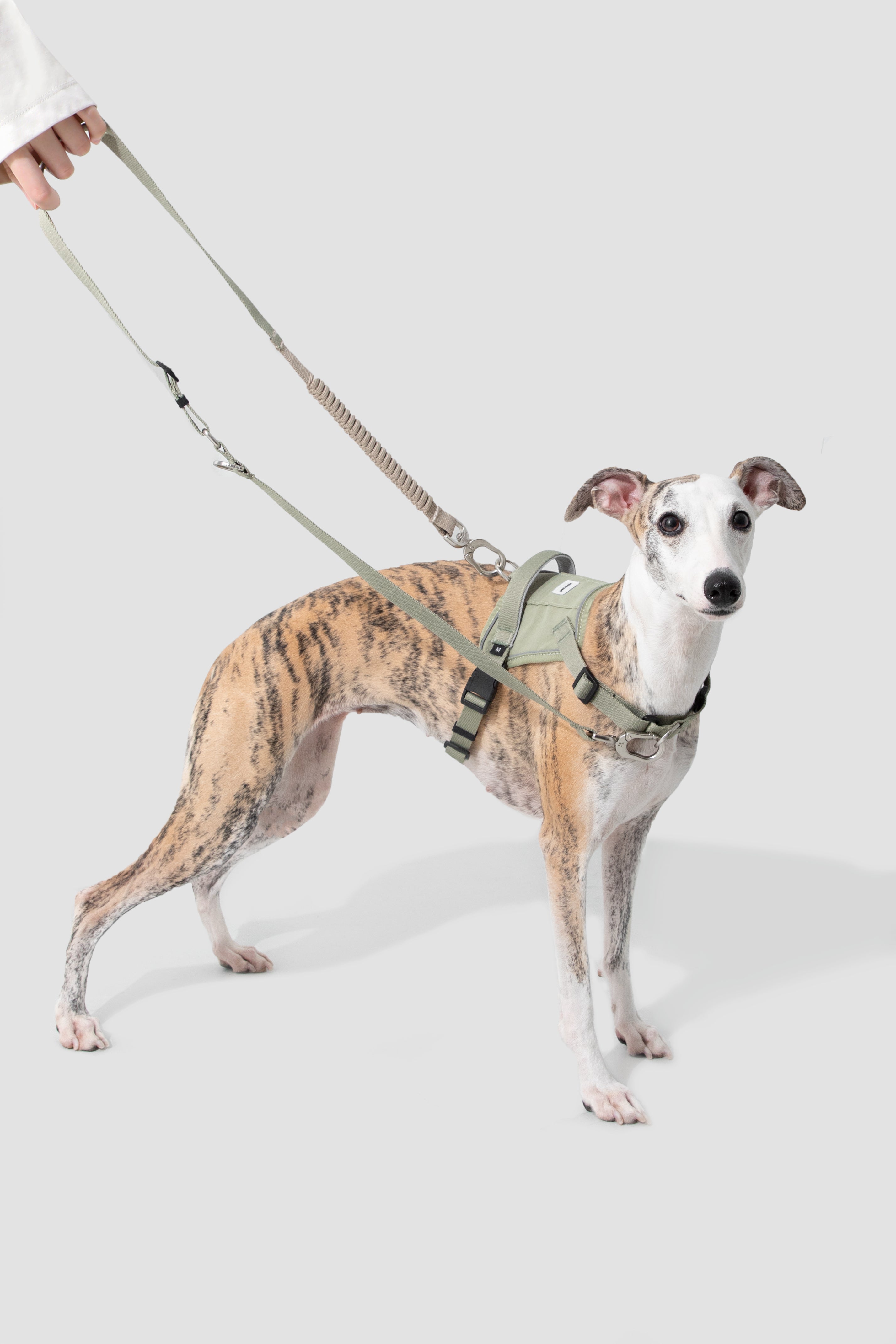 Anti-pull Multi-Functional Dog Leash