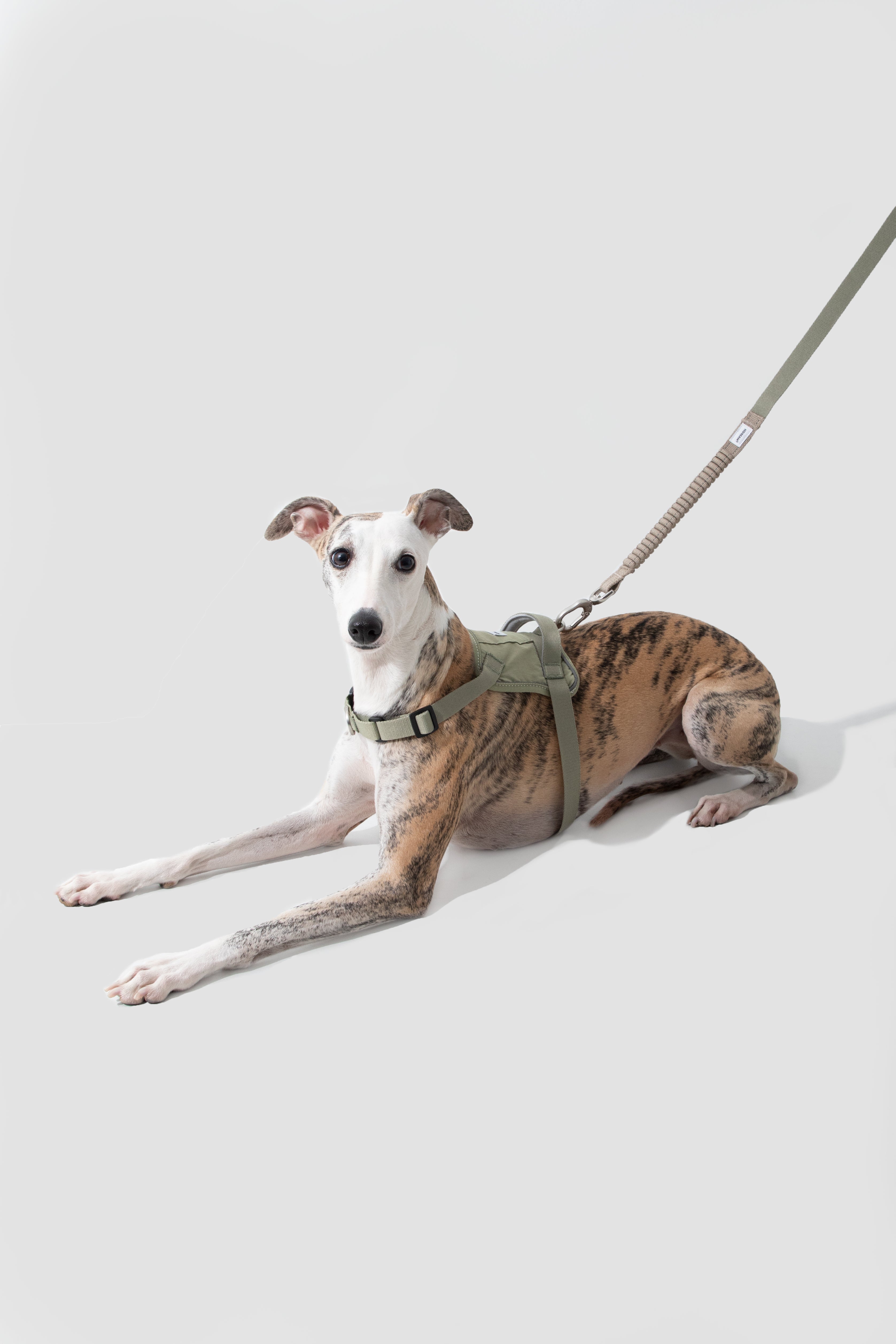 Anti-pull Multi-Functional Dog Leash