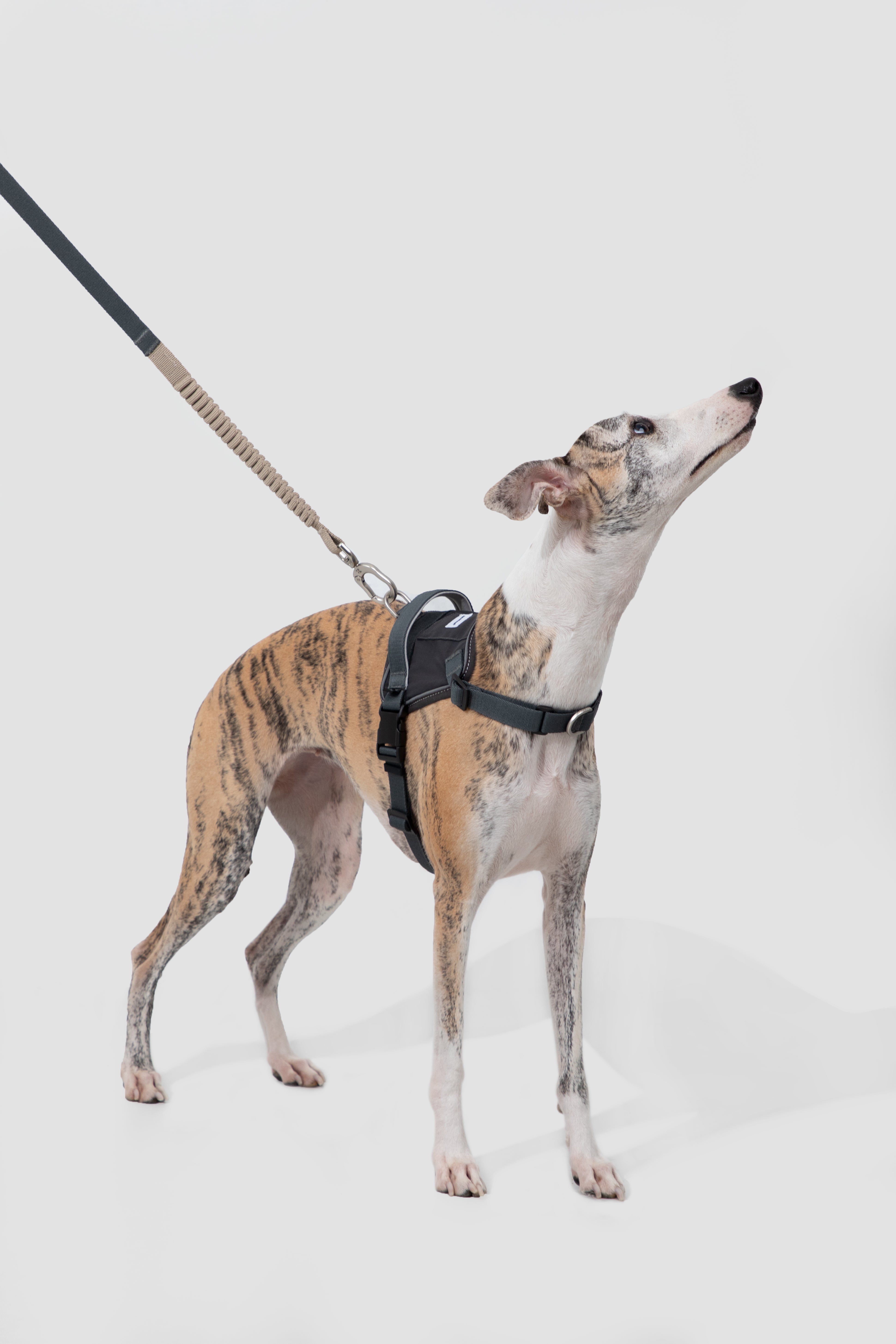 Anti-pull Multi-Functional Dog Leash