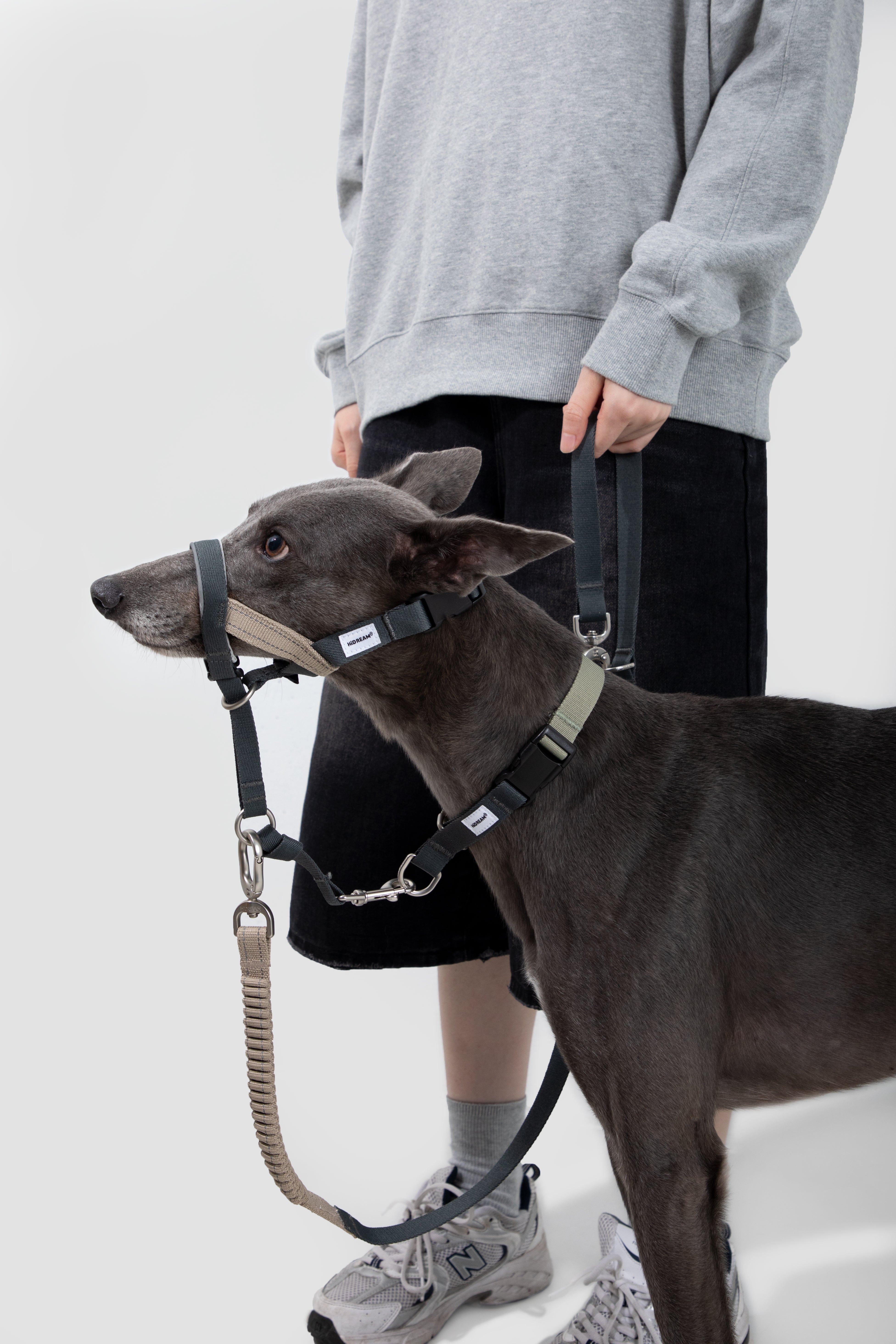 Control Dog Head Collar